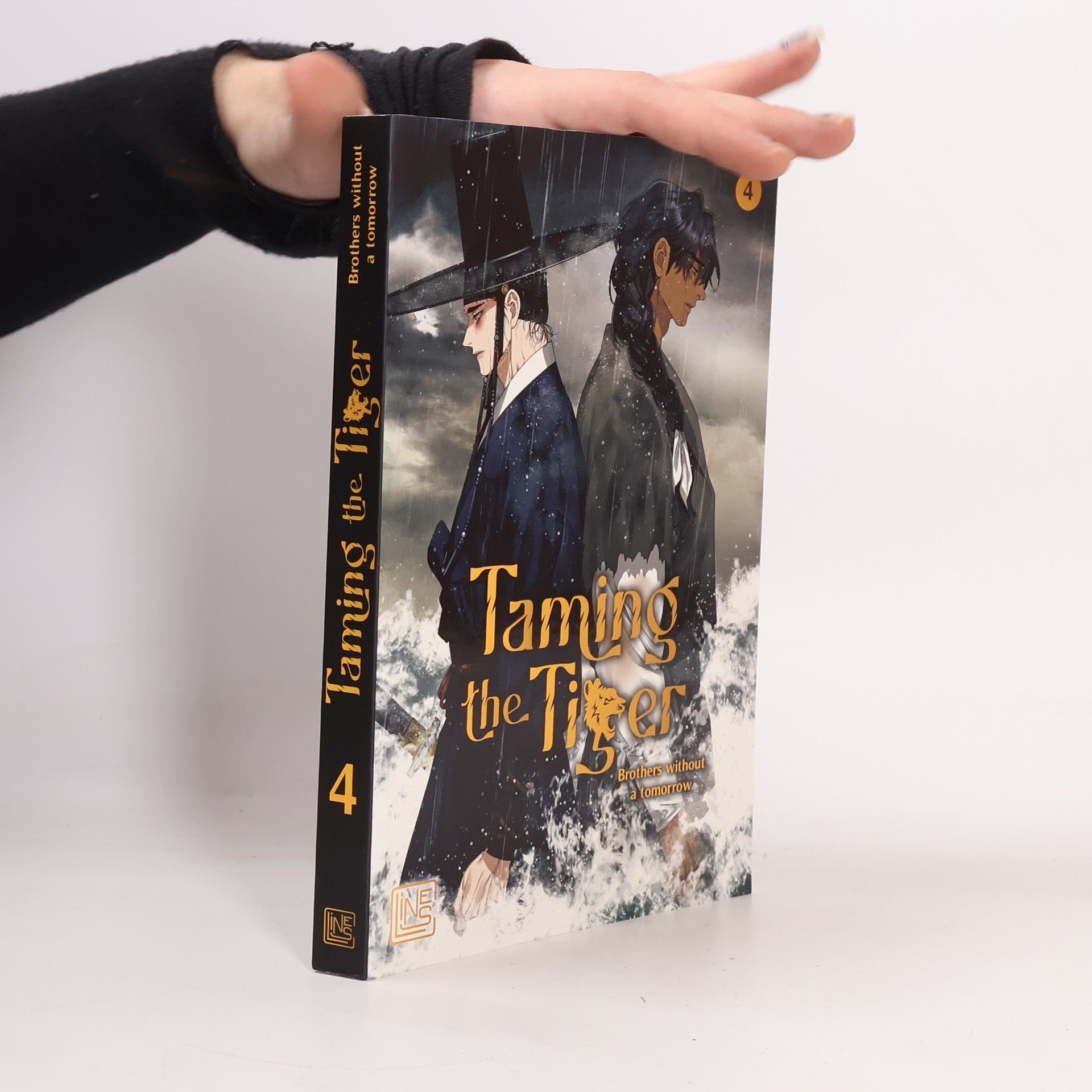 Collectif d'auteurs Taming the Tiger 4