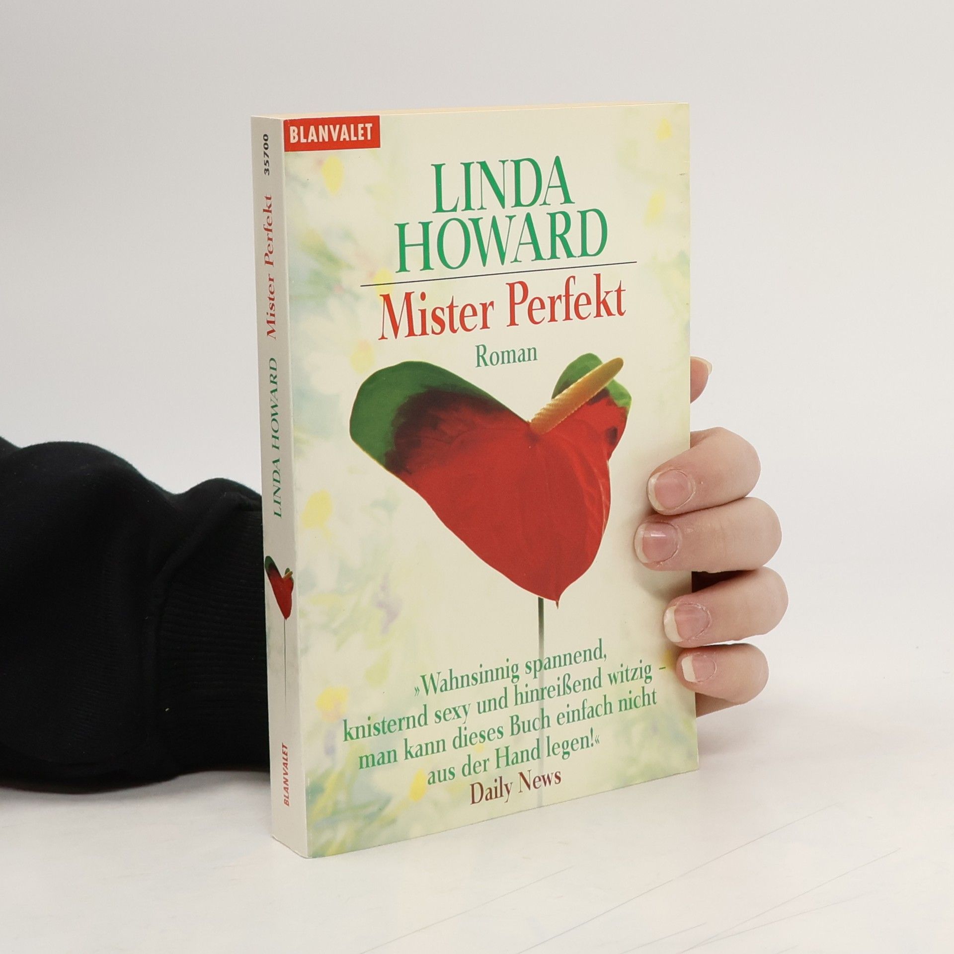 Linda Howard Mister Perfekt