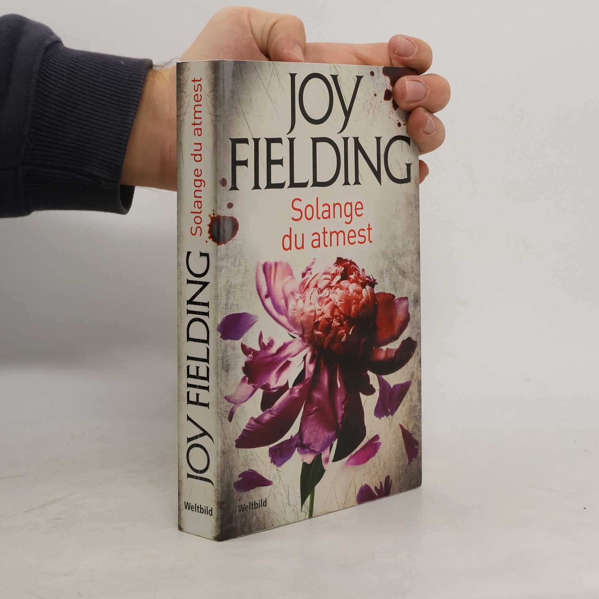 Joy Fielding Solange du atmest