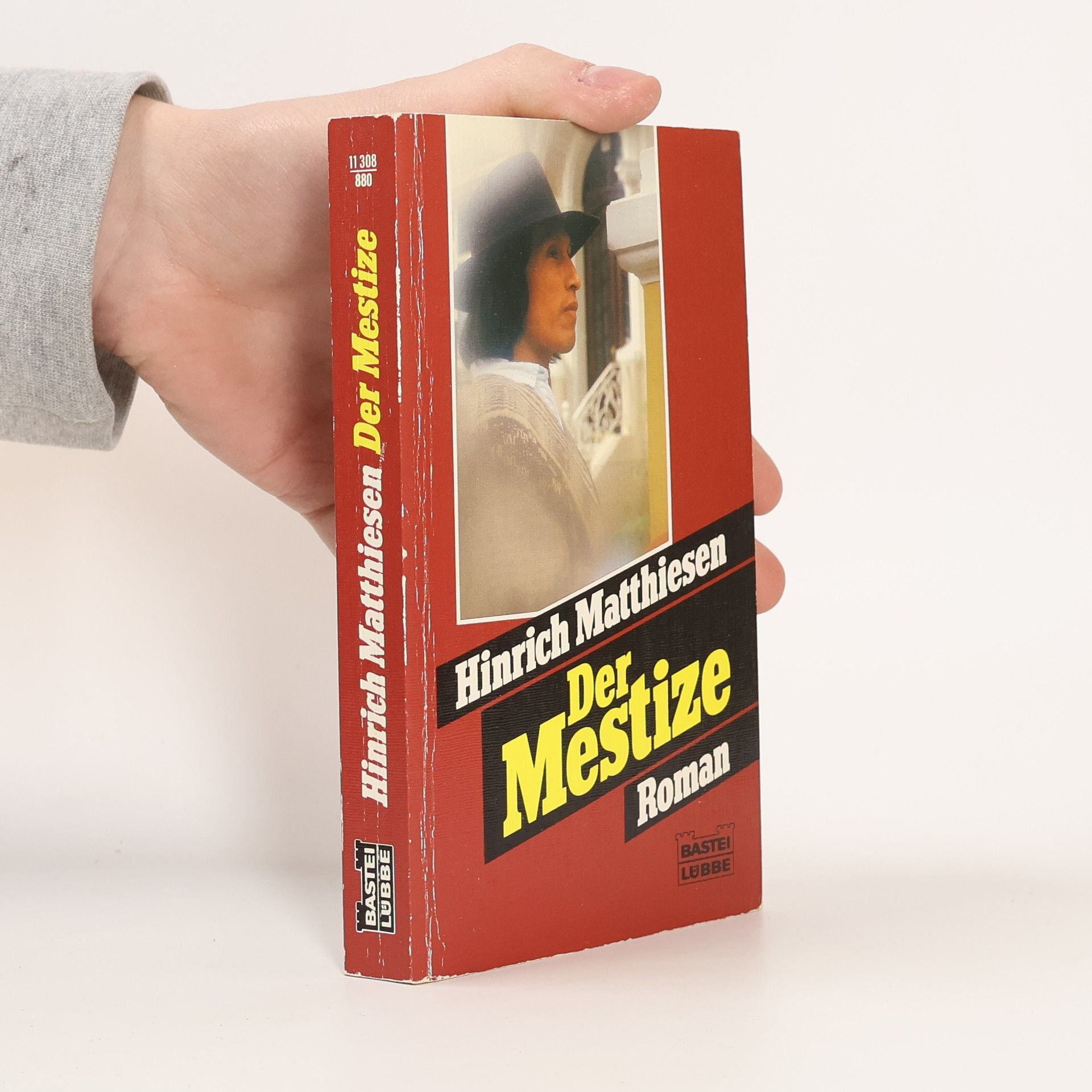 Hinrich Matthiessen Der Mestize