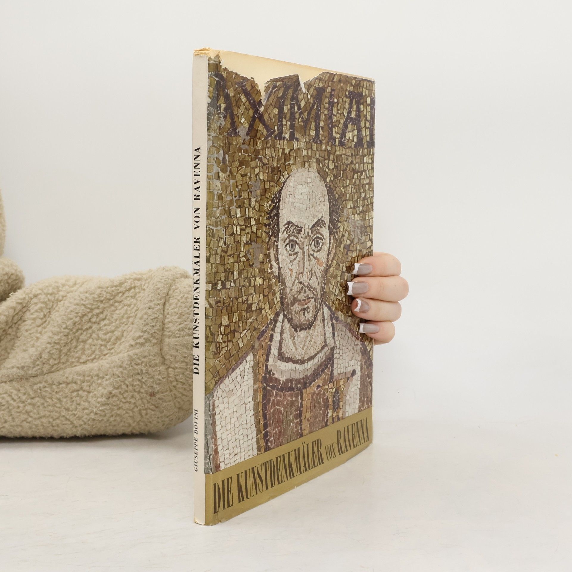 Giuseppe Bovini Die Kunstdenkmäler von Ravenna