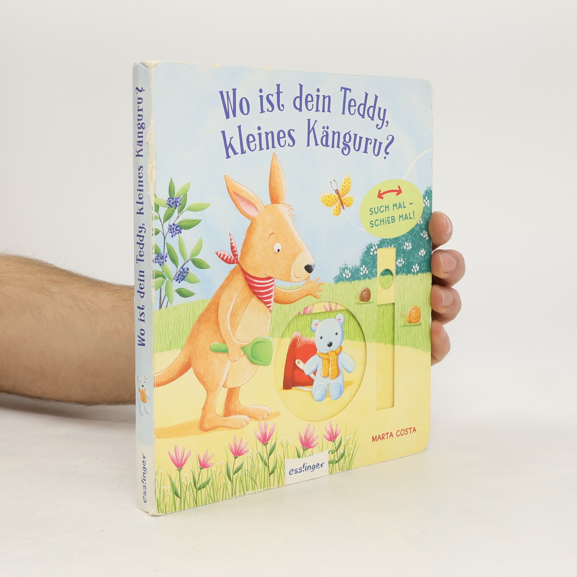 Marta Costa Wo ist dein Teddy, kleines Känguru?