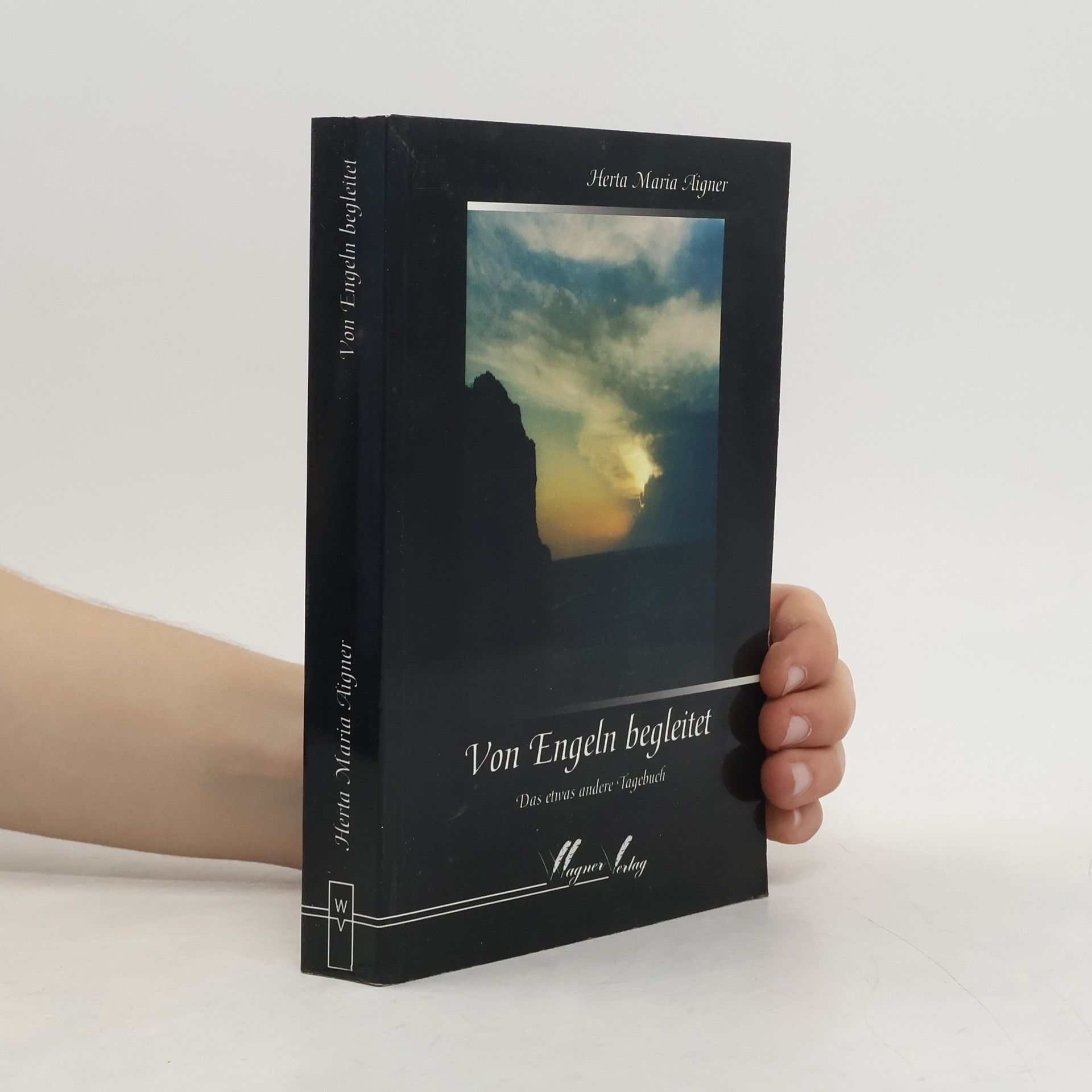 Von Engeln begleitet 1