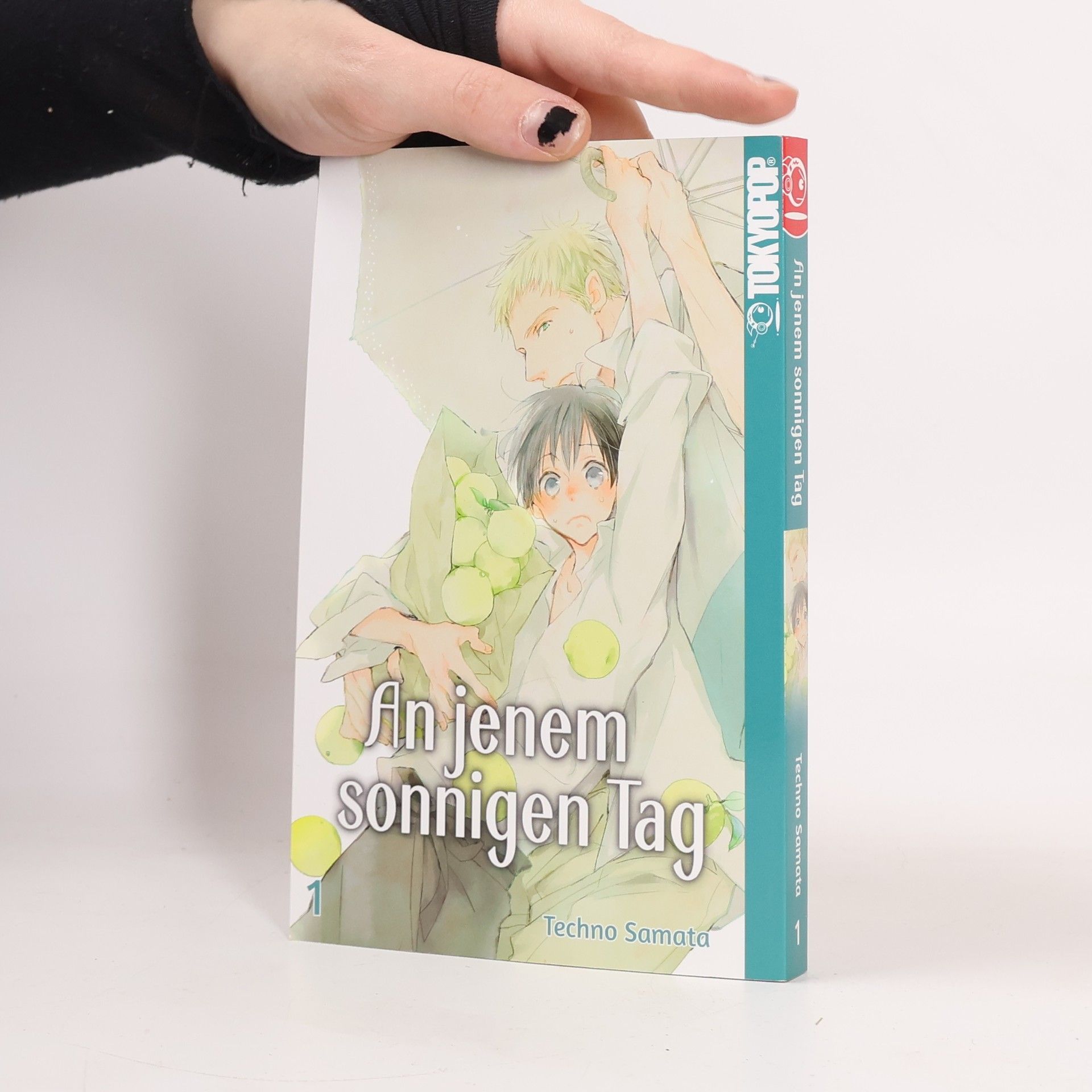 Collectif d'auteurs An jenem sonnigen Tag