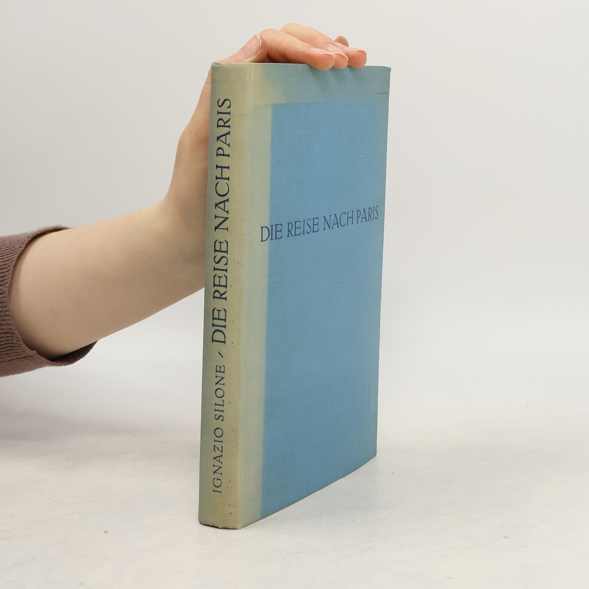 Die Reise nach Paris