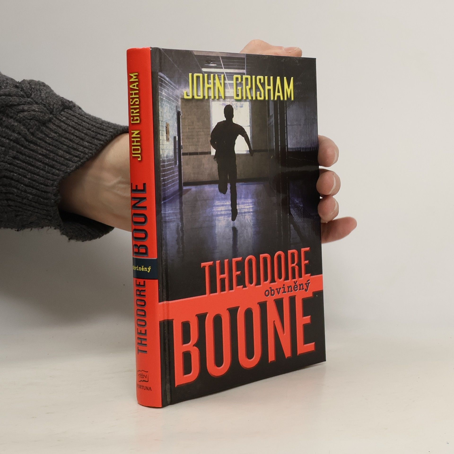 John Grisham Theodore Boone : obviněný