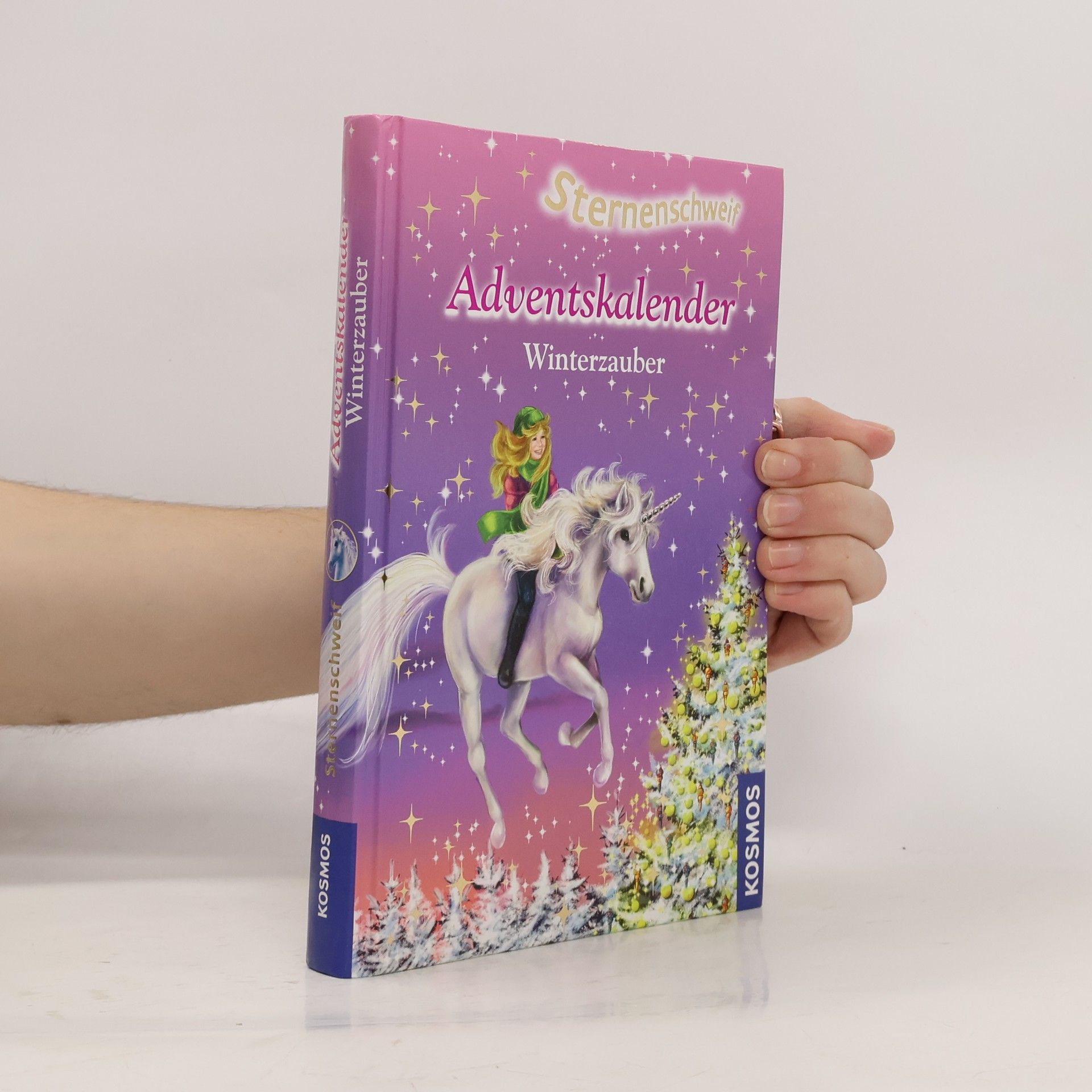 Anne Scheller Sternenschweif-Adventskalender Winterzauber