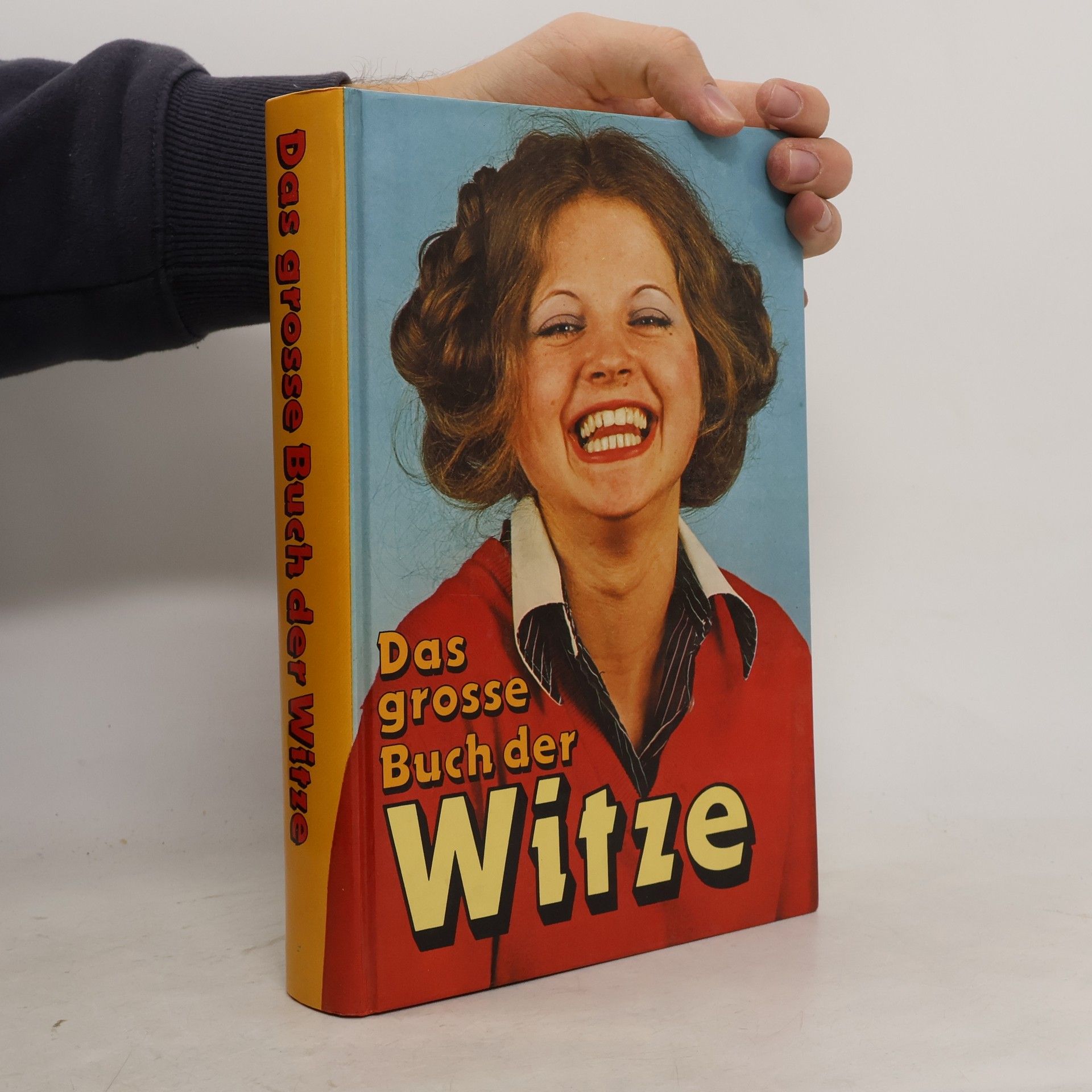 Collectif d'auteurs Das grosse Buch der Witze