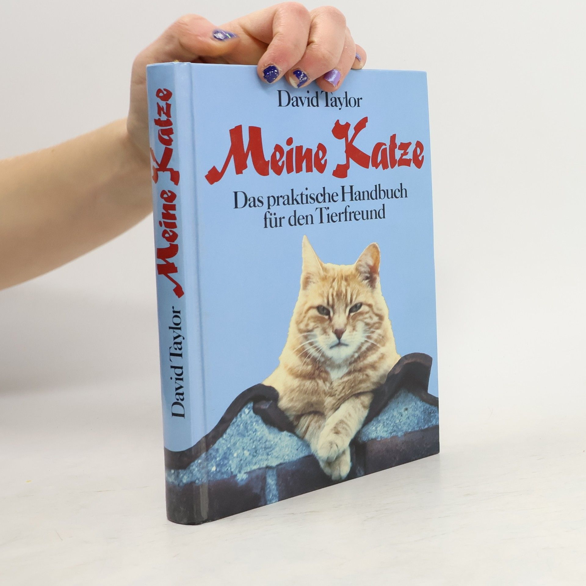 David Taylor Meine Katze