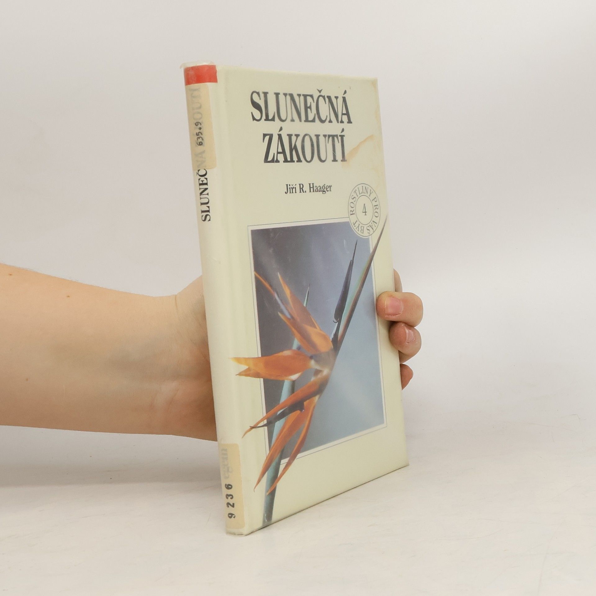 Slunečná zákoutí