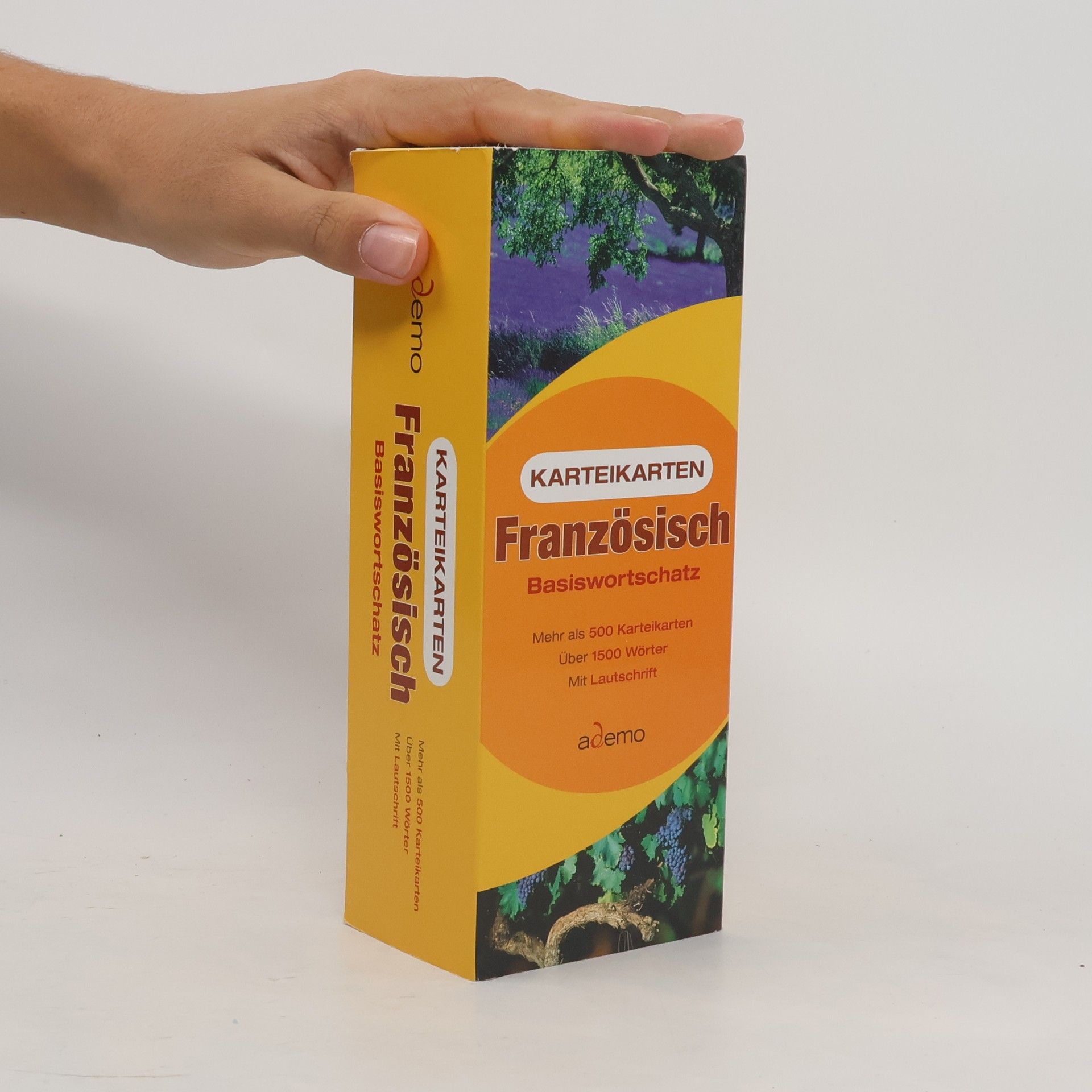 Collectif d'auteurs Französisch-Karteikarten, Basiswortschatz