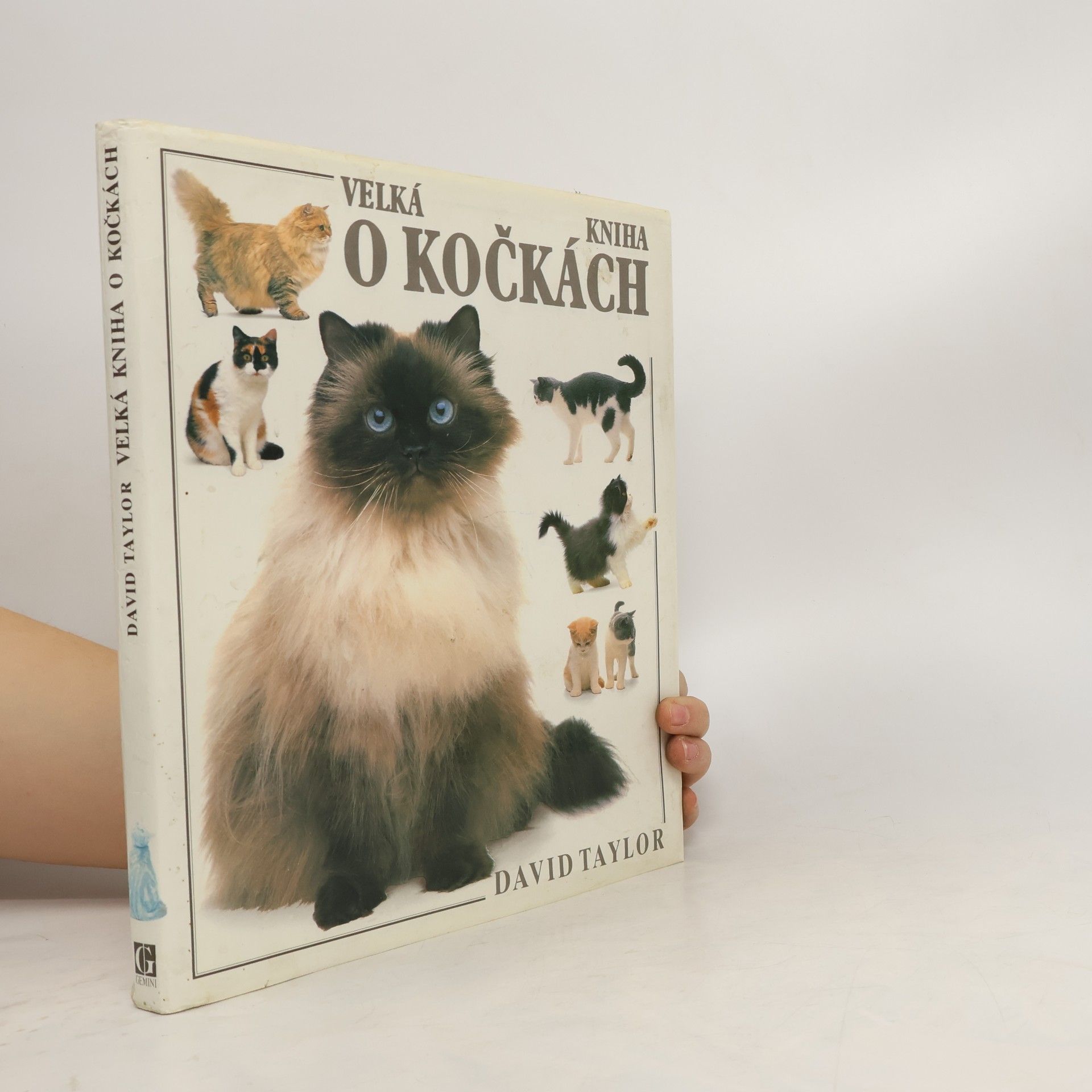 David Taylor Velká kniha o kočkách