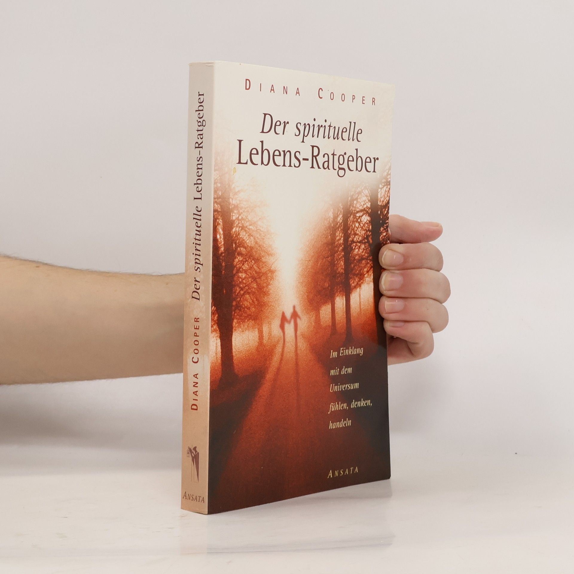 Diana Cooper Der spirituelle Lebens-Ratgeber