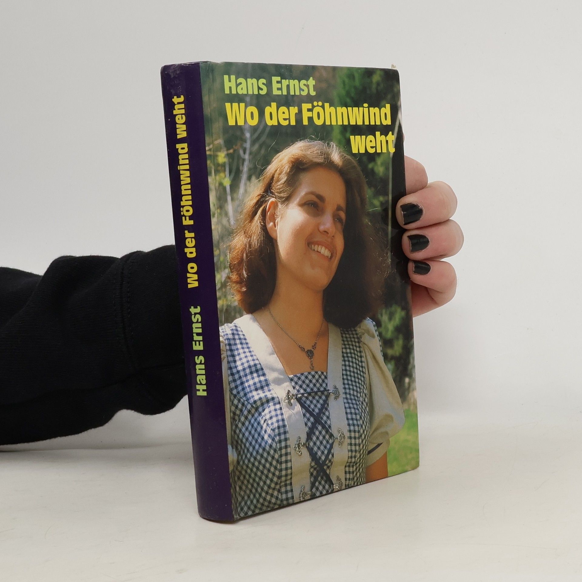 Hans-Ernst Schwiete Wo der Föhnwind weht