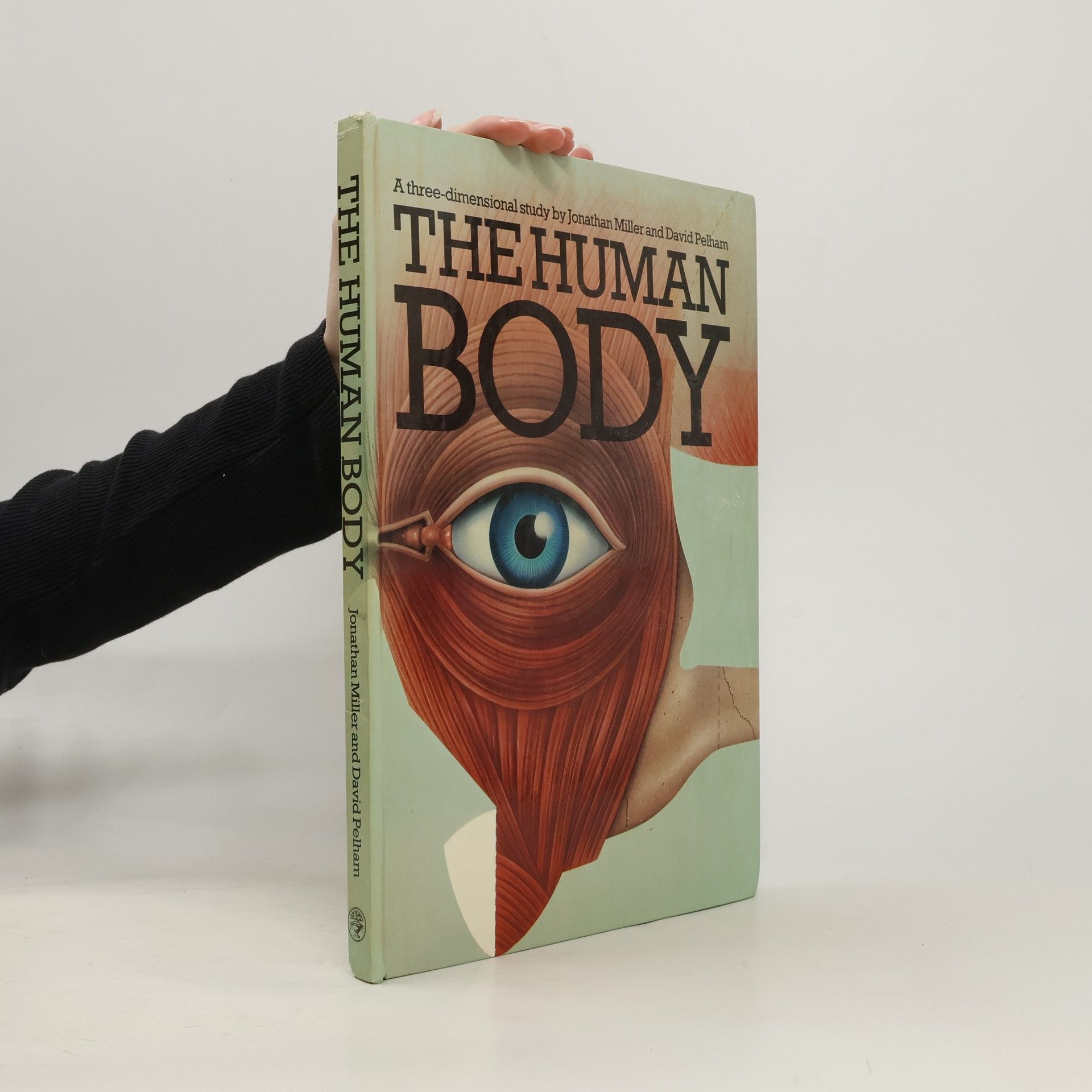 The Human Body