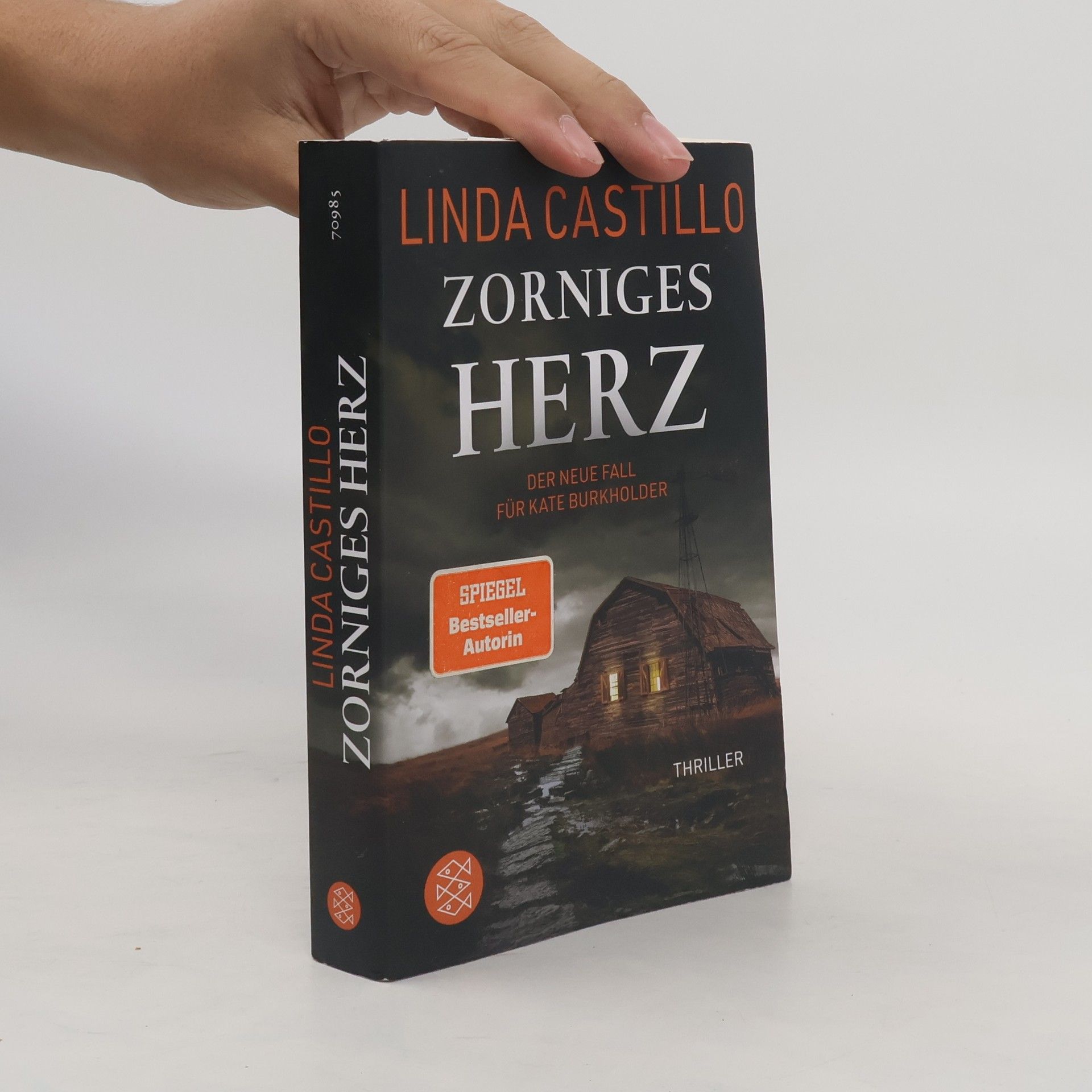 Linda Castillo Zorniges Herz