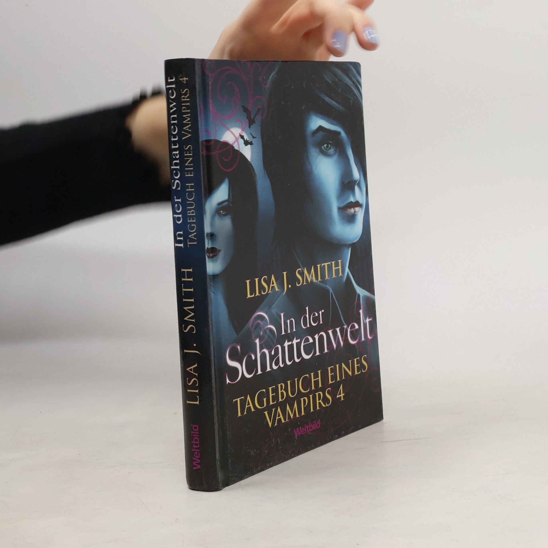 L. J. Smith Tagebuch eines Vampirs 4. In der Schattenwelt