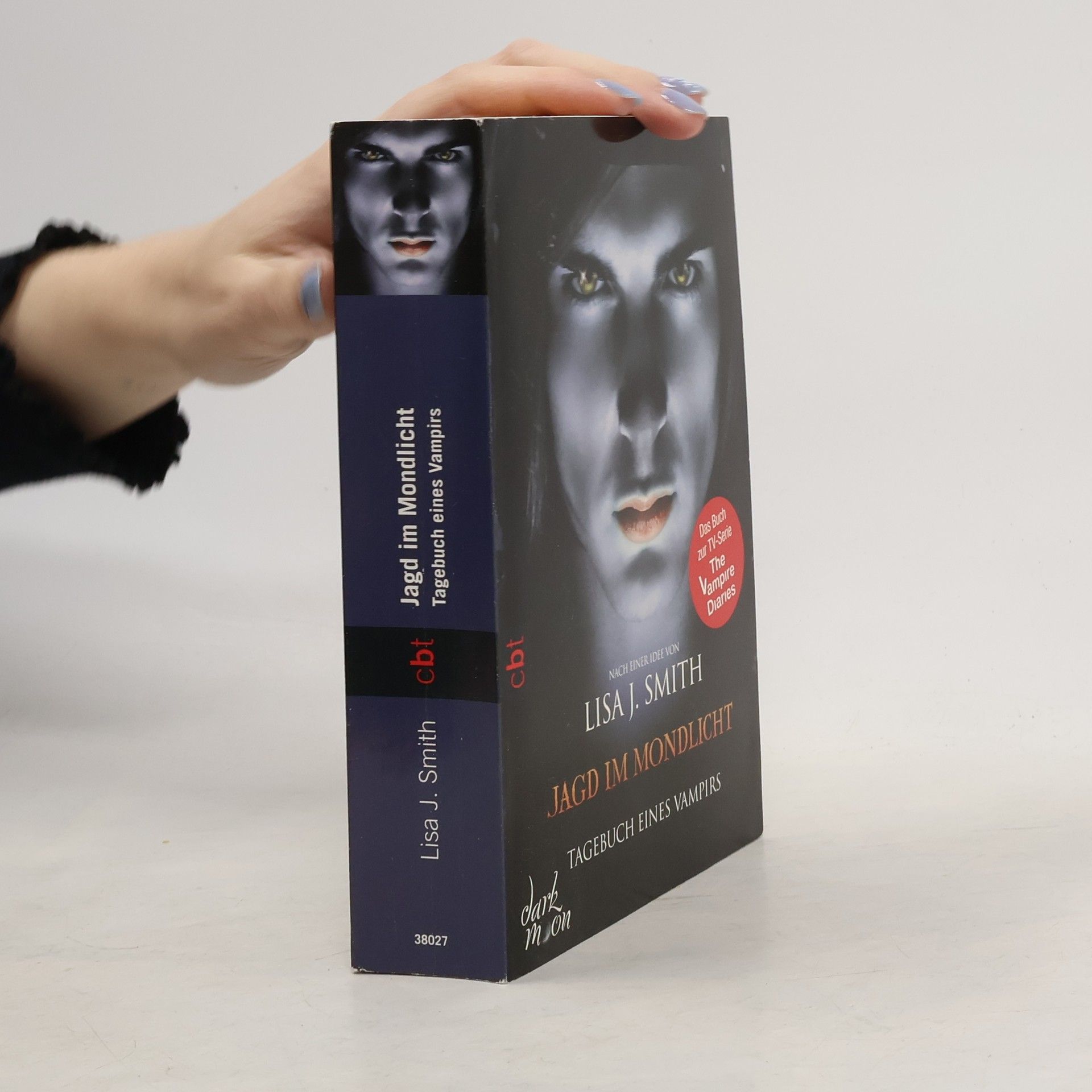 L. J. Smith Jagd im Mondlicht