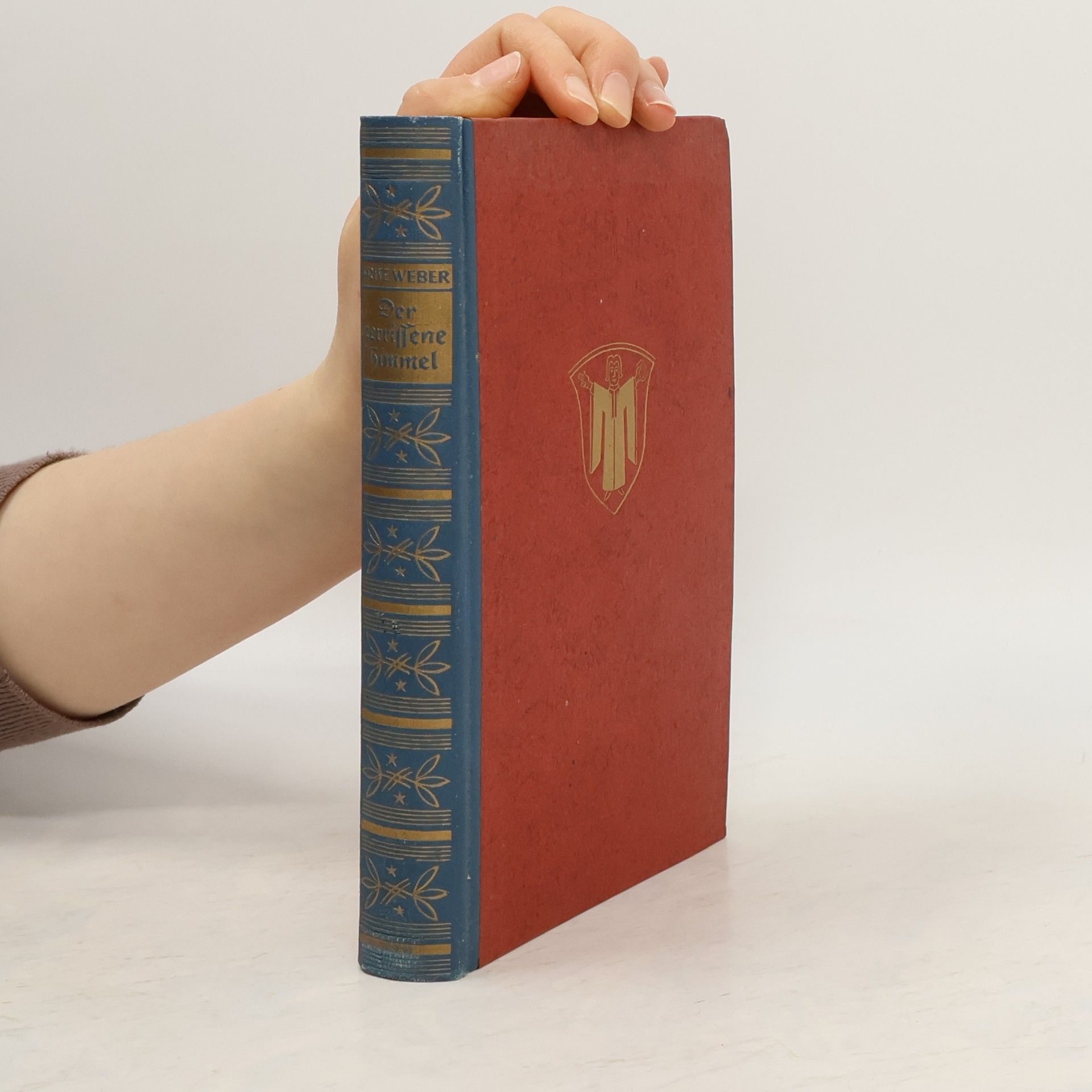 Fritz Weber Der zerrissene Himmel