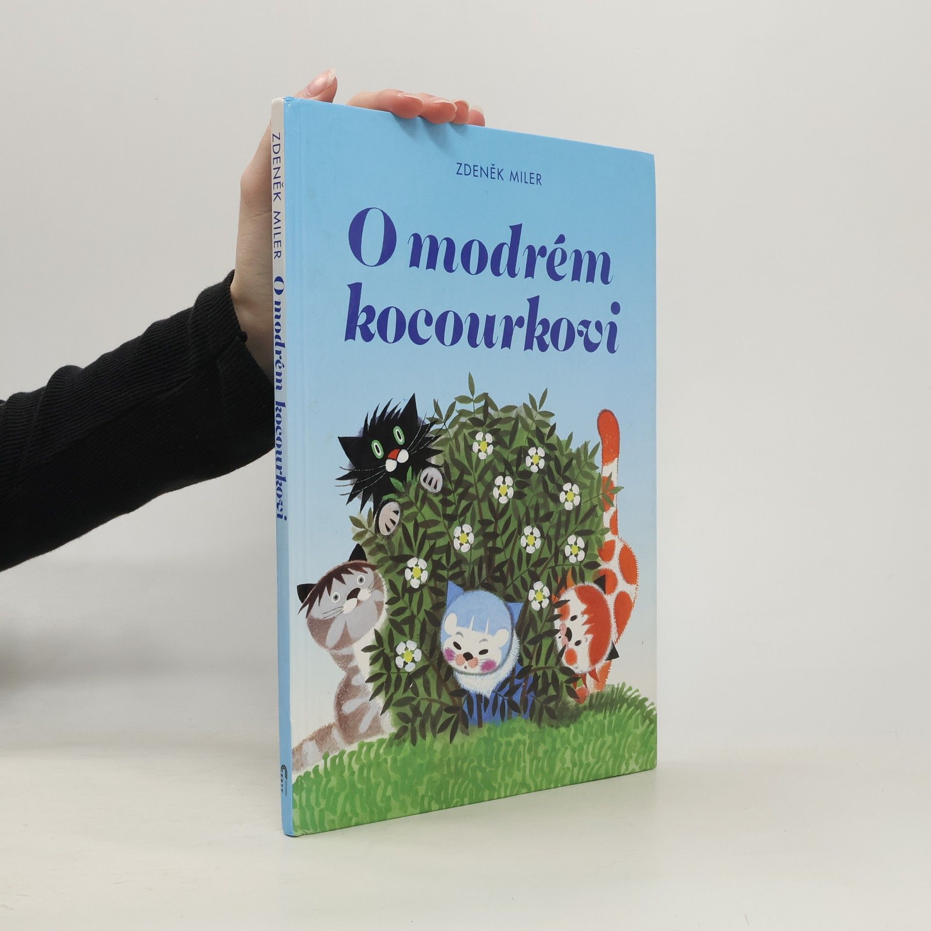 O modrém kocourkovi
