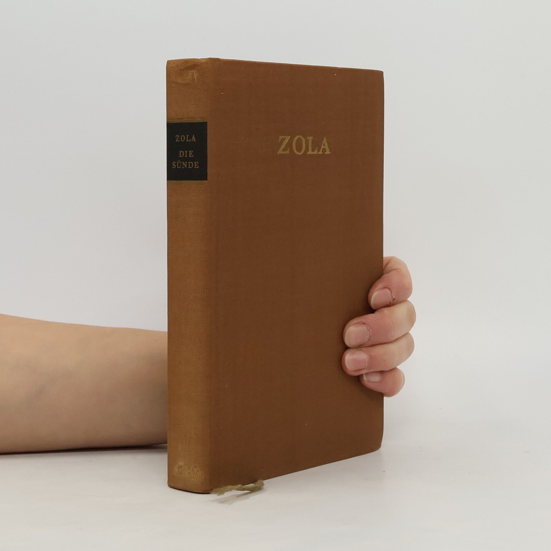 Émile Zola Die Sünde