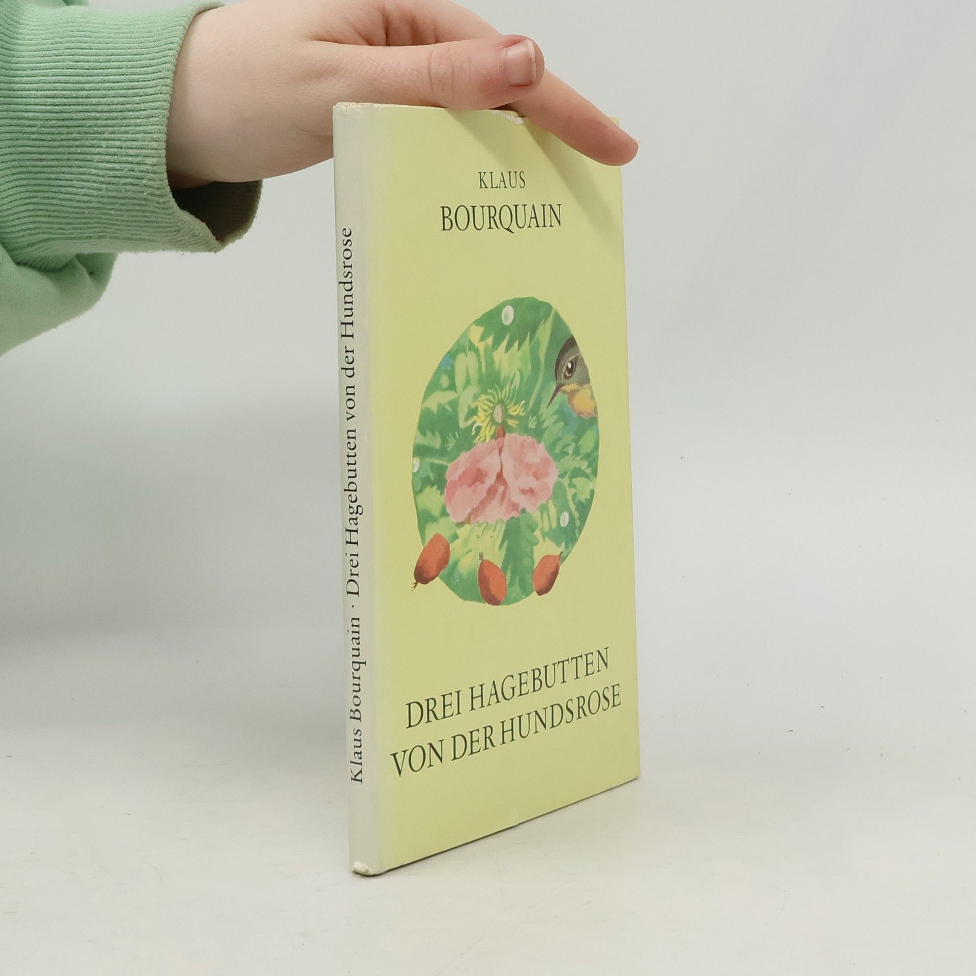 Drei Hagebutten von der Hundsrose