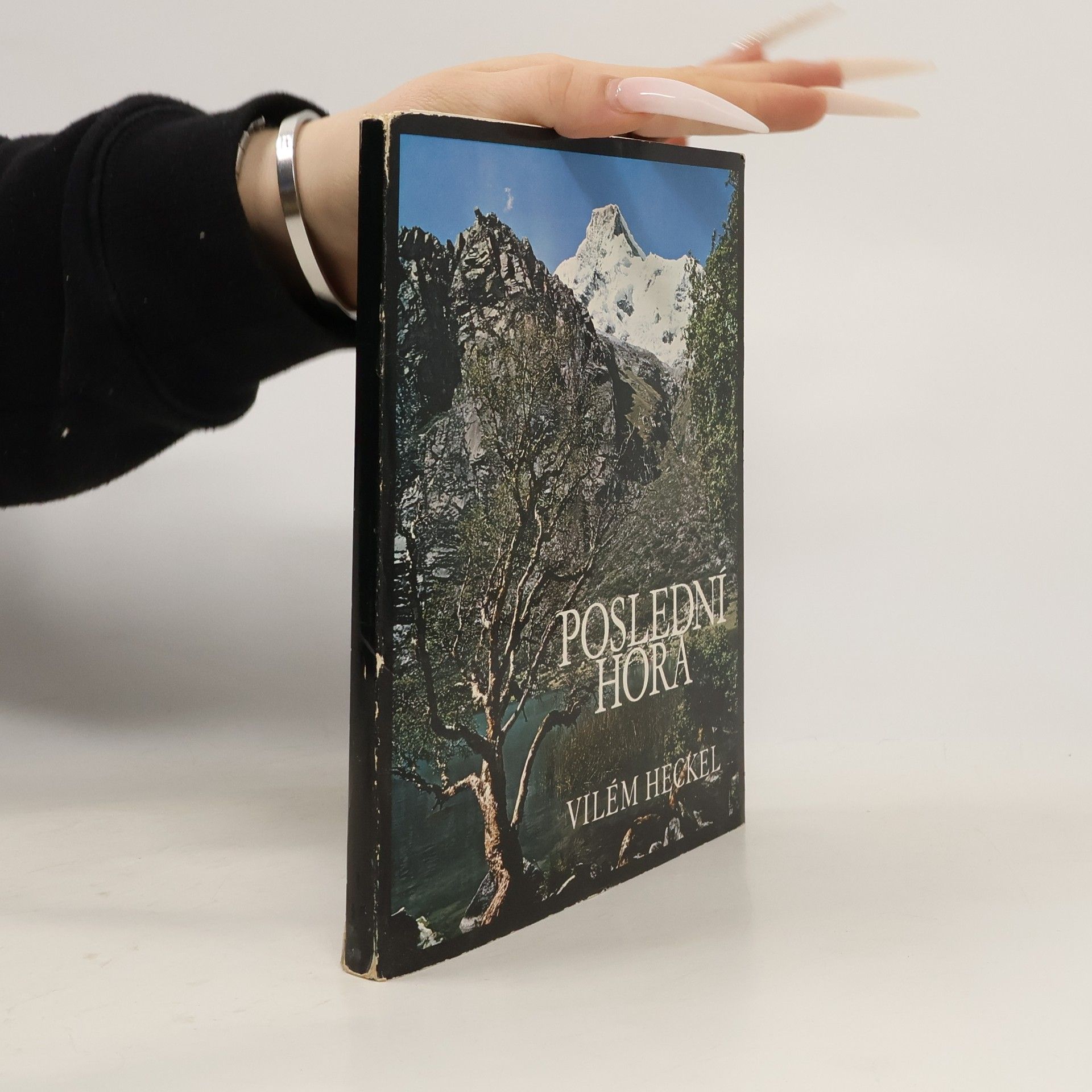 Vilém Heckel Poslední hora