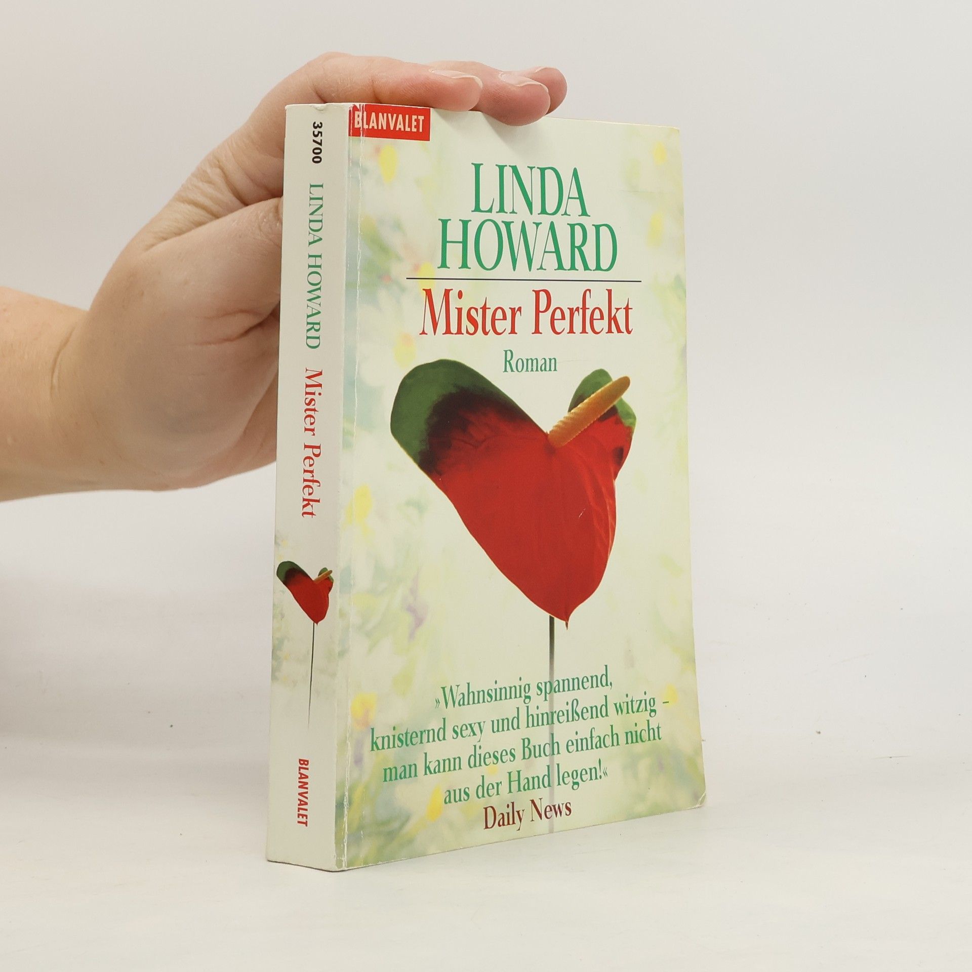 Linda Howard Mister Perfekt