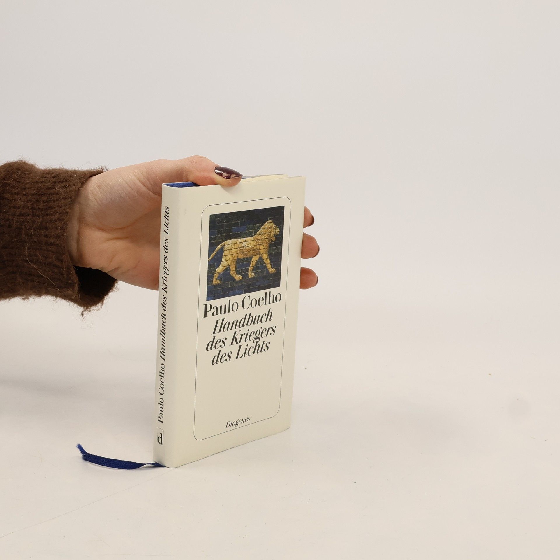 Paulo Coelho Handbuch des Kriegers des Lichts