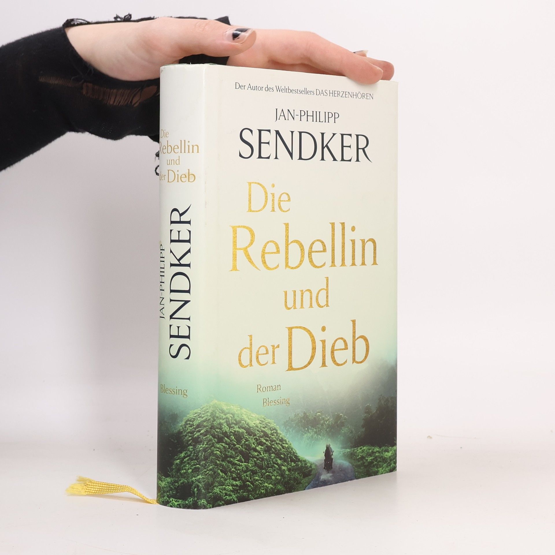 Jan-Philipp Sendker Die Rebellin und der Dieb