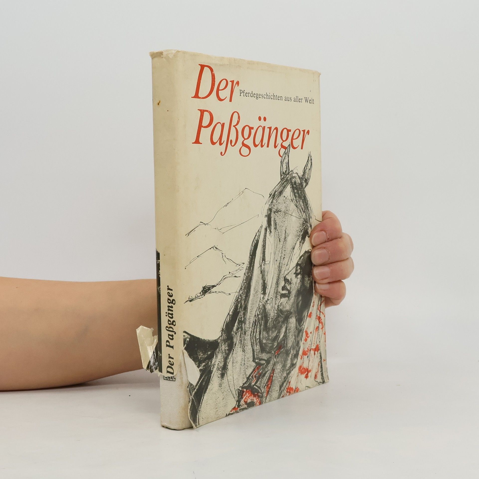 Collectif d'auteurs Der Paßgänger