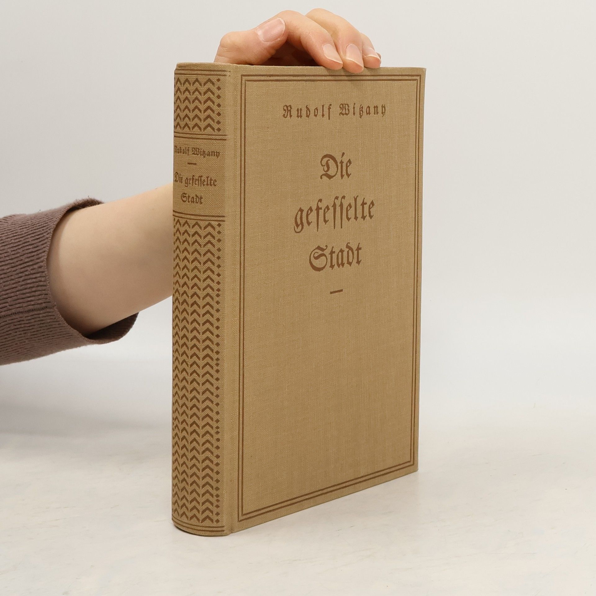 Rudolf Witzany Die gefesselte Stadt