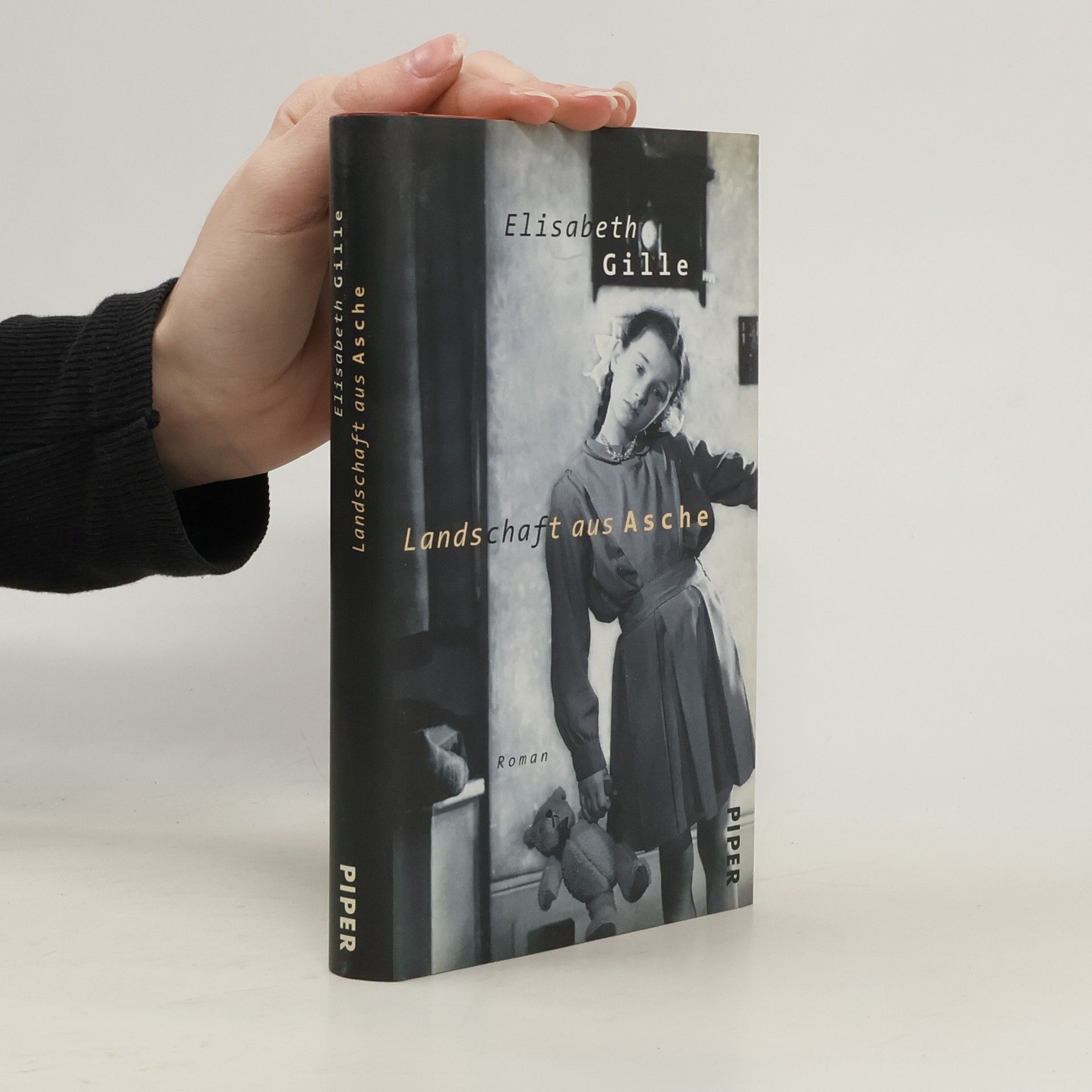 Landschaft aus Asche