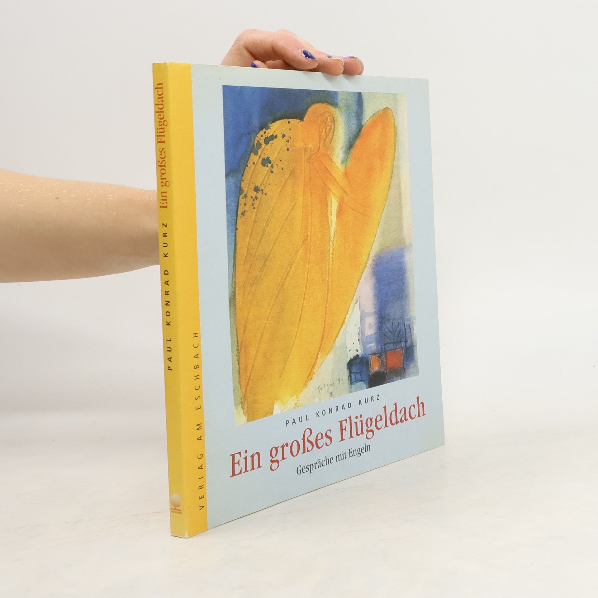 Ein großes Flügeldach. Gespräche mit Engeln