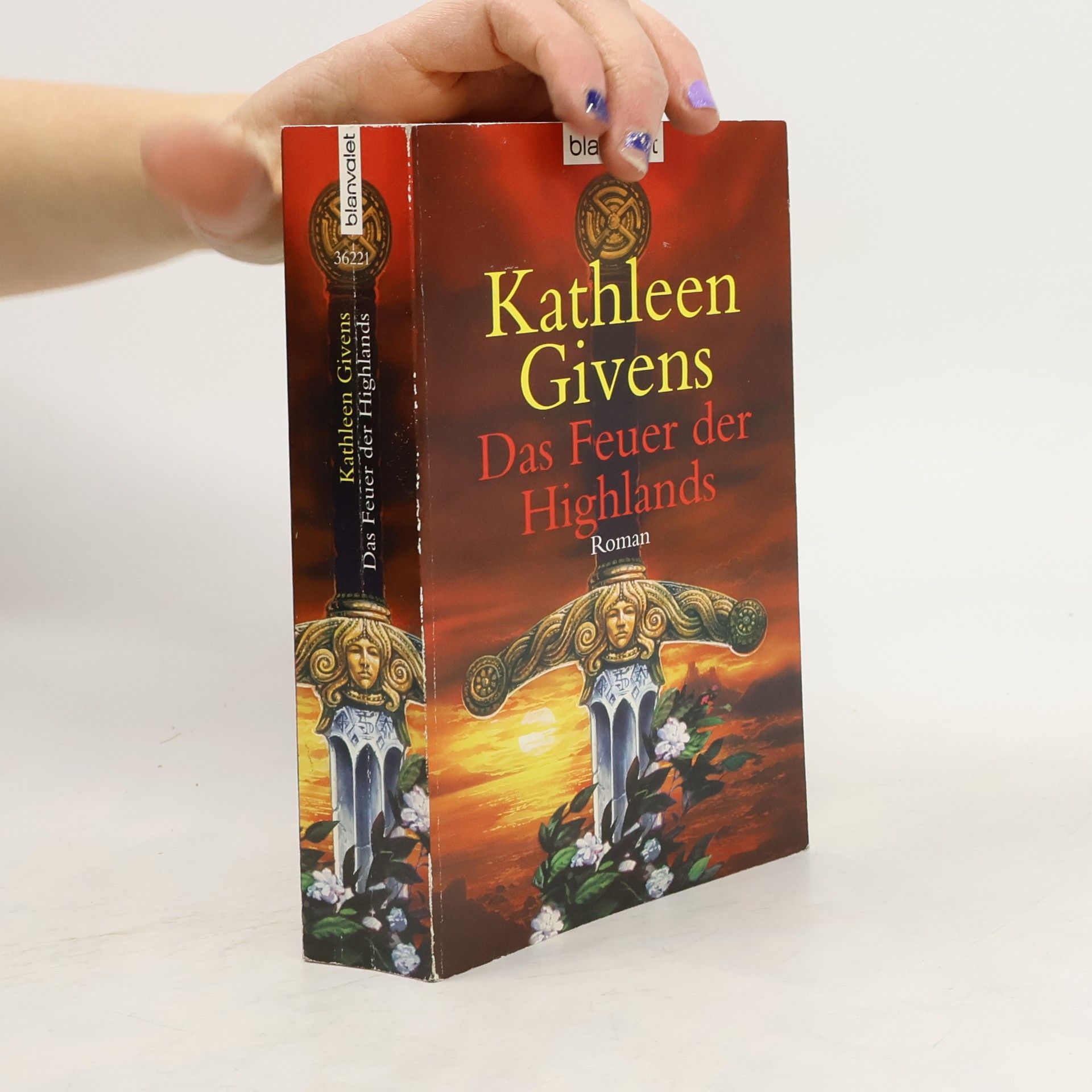 Kathleen Givens Das Feuer der Highlands