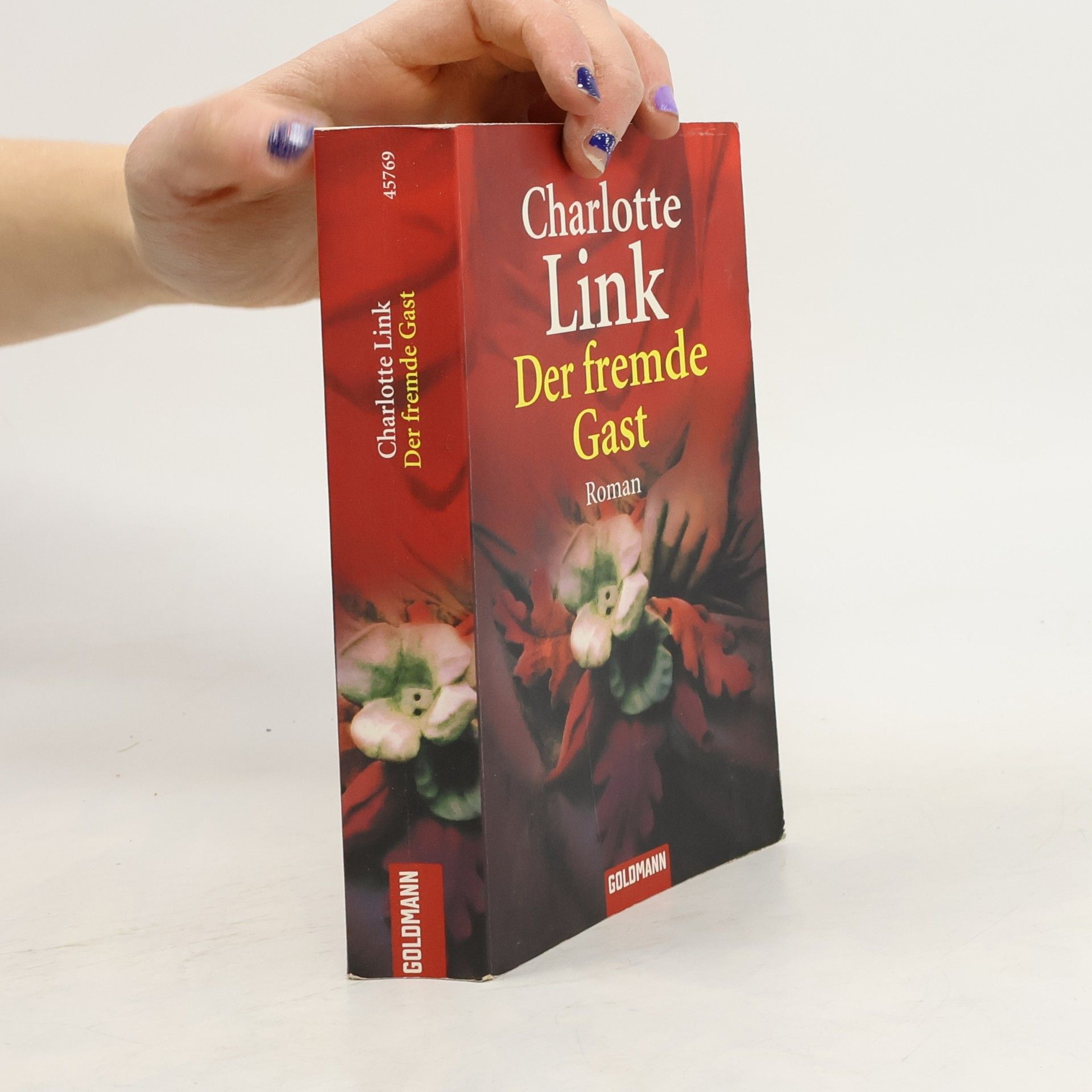 Charlotte Link Der fremde Gast