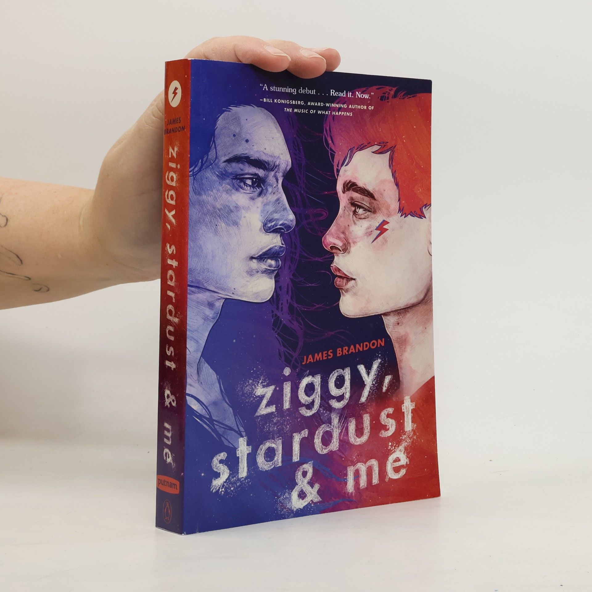 Ziggy, Stardust and Me