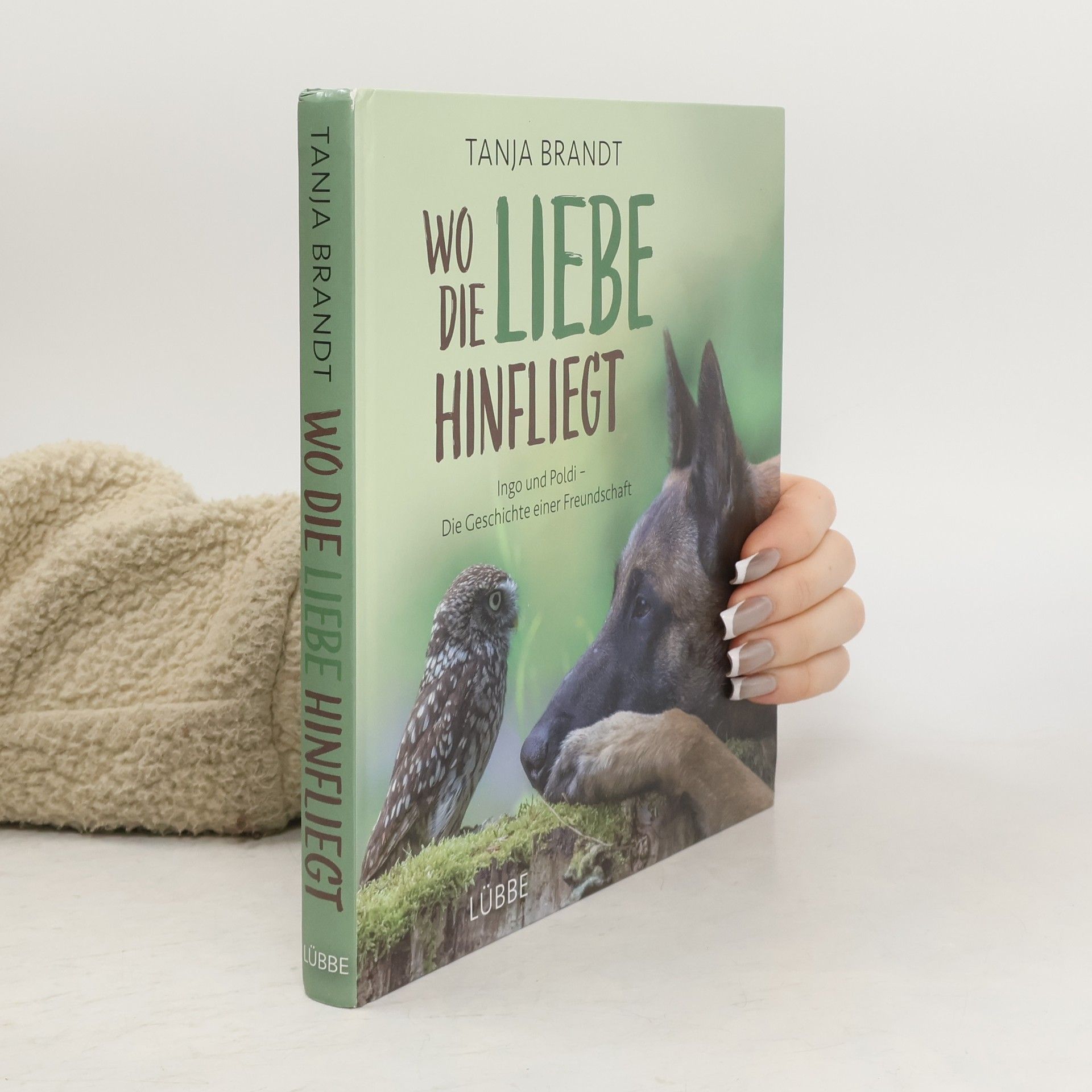 Tanja Brandt Wo die Liebe hinfliegt