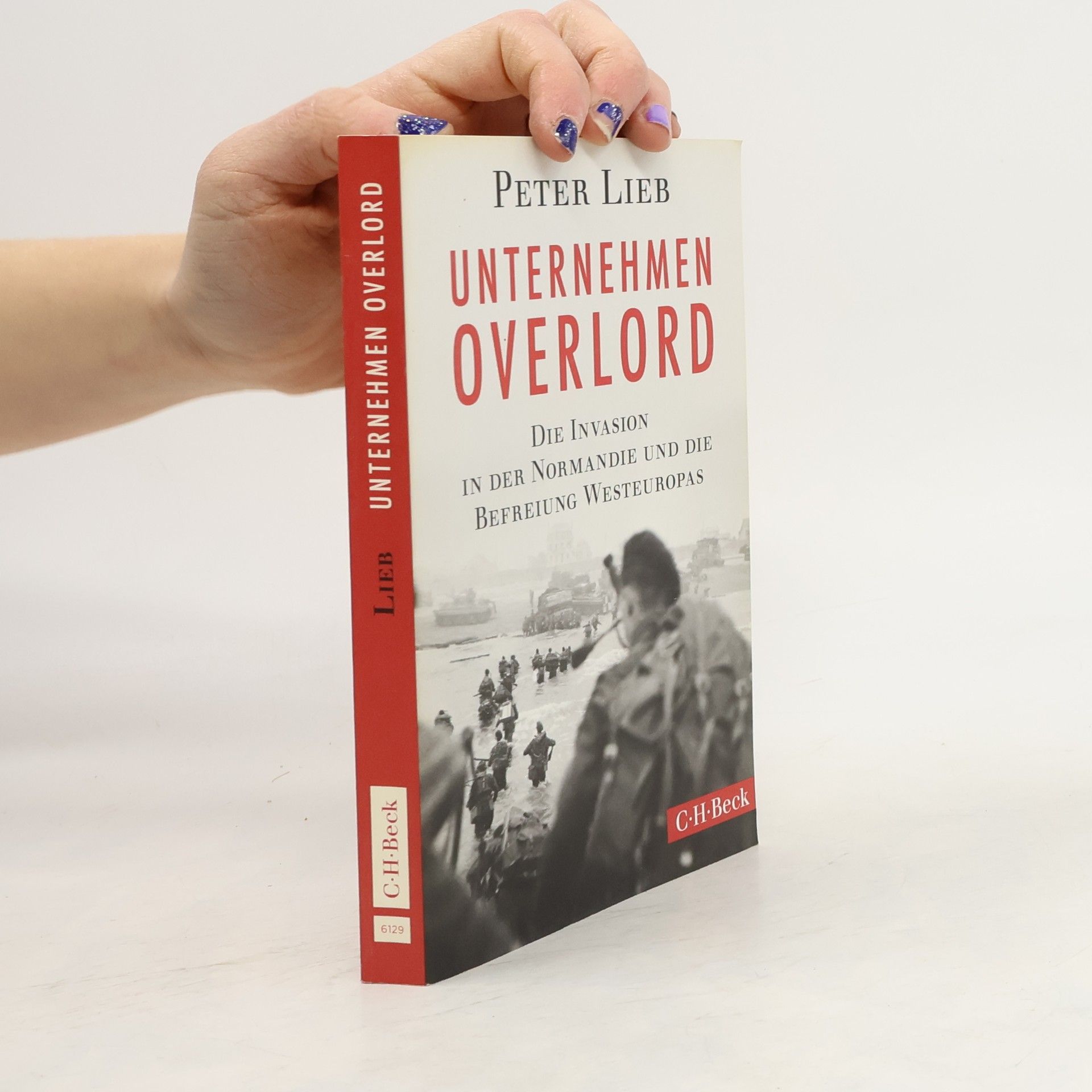 Peter Lieb Unternehmen Overlord