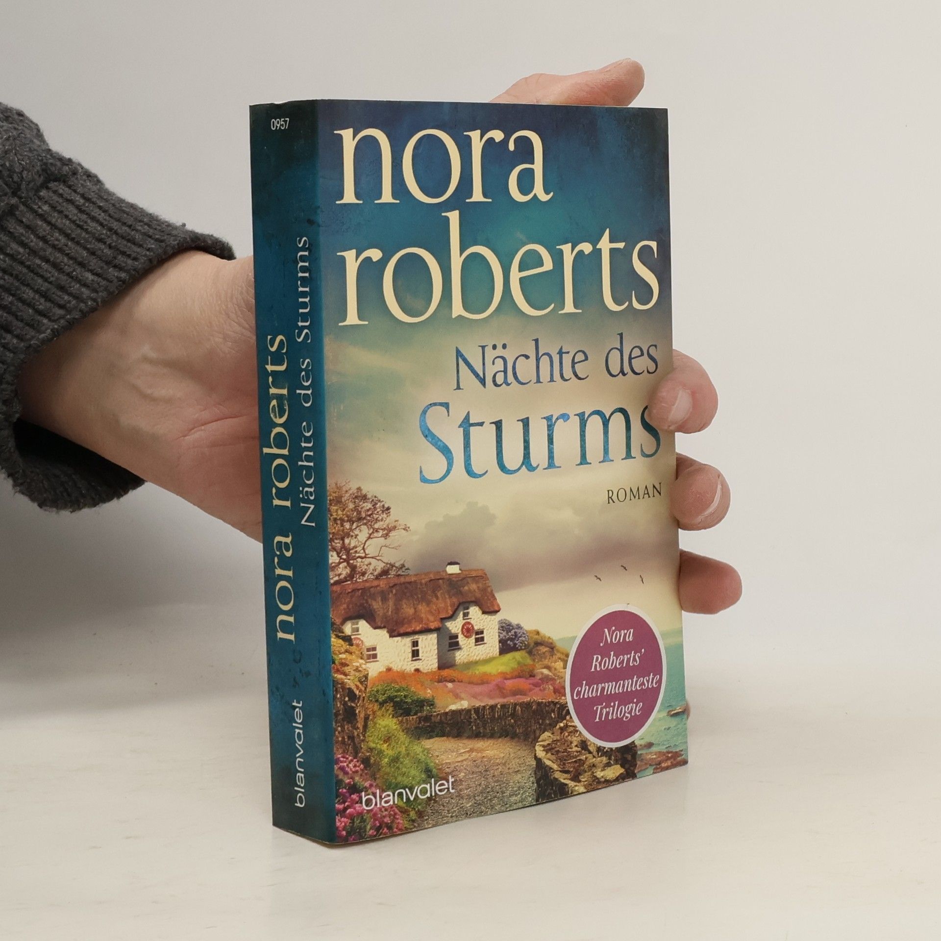 Nora Roberts Nächte des Sturms