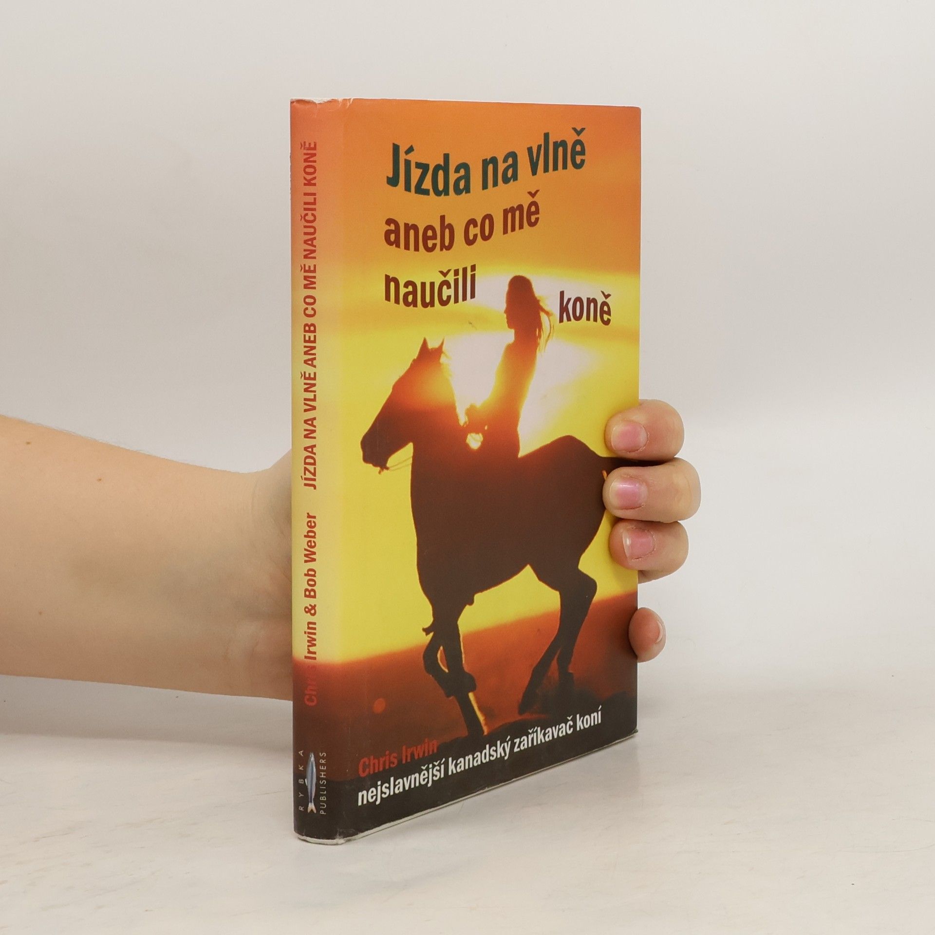 Jízda na vlně aneb Co mě naučili koně