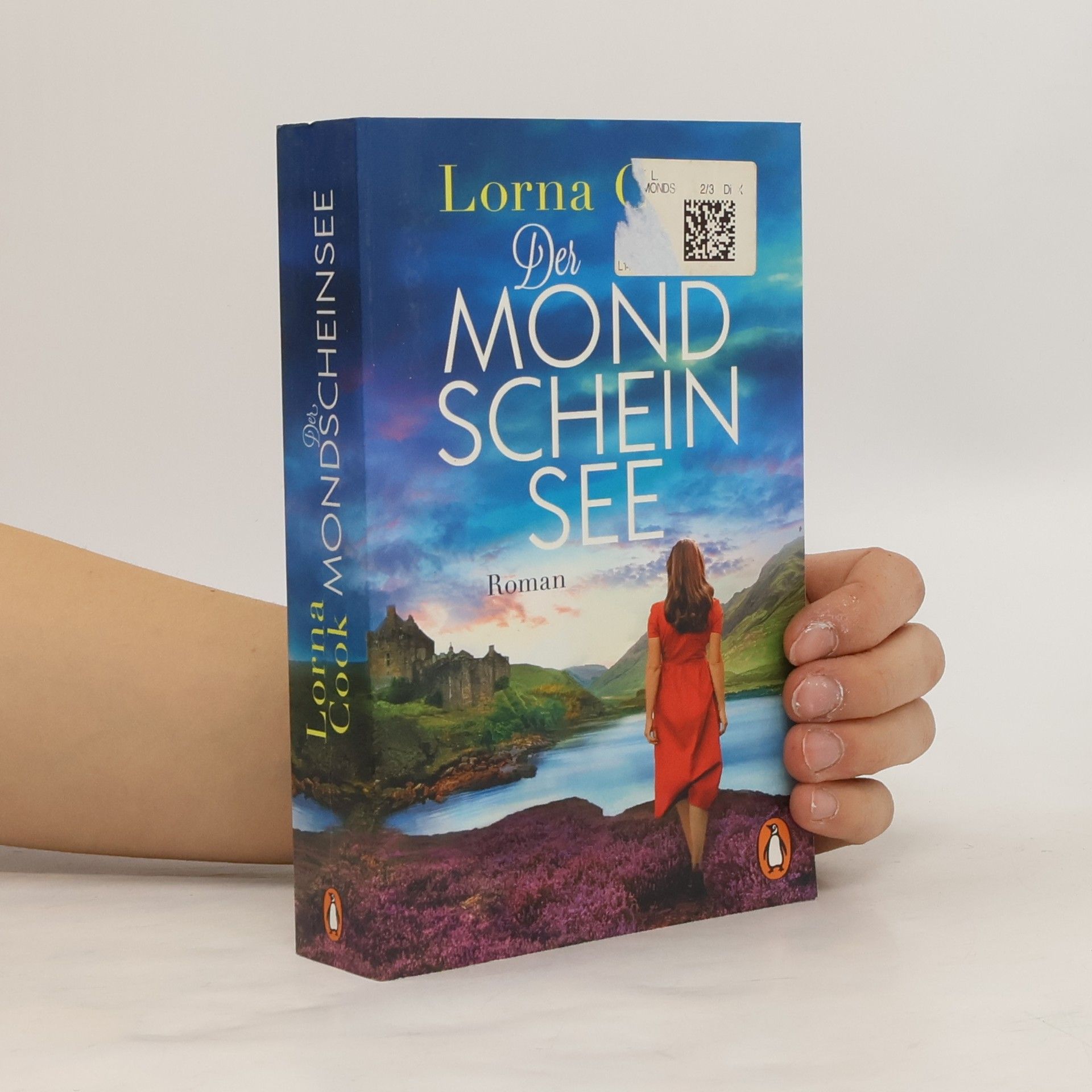 Lorna Cook Der Mondscheinsee