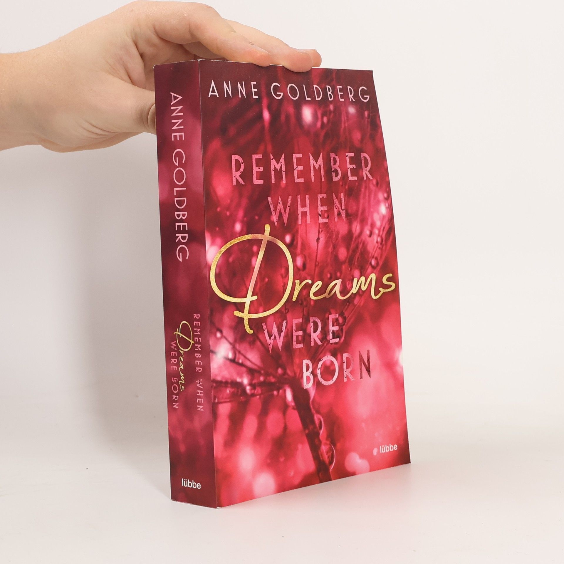 Anne Goldberg Remember when Dreams were born