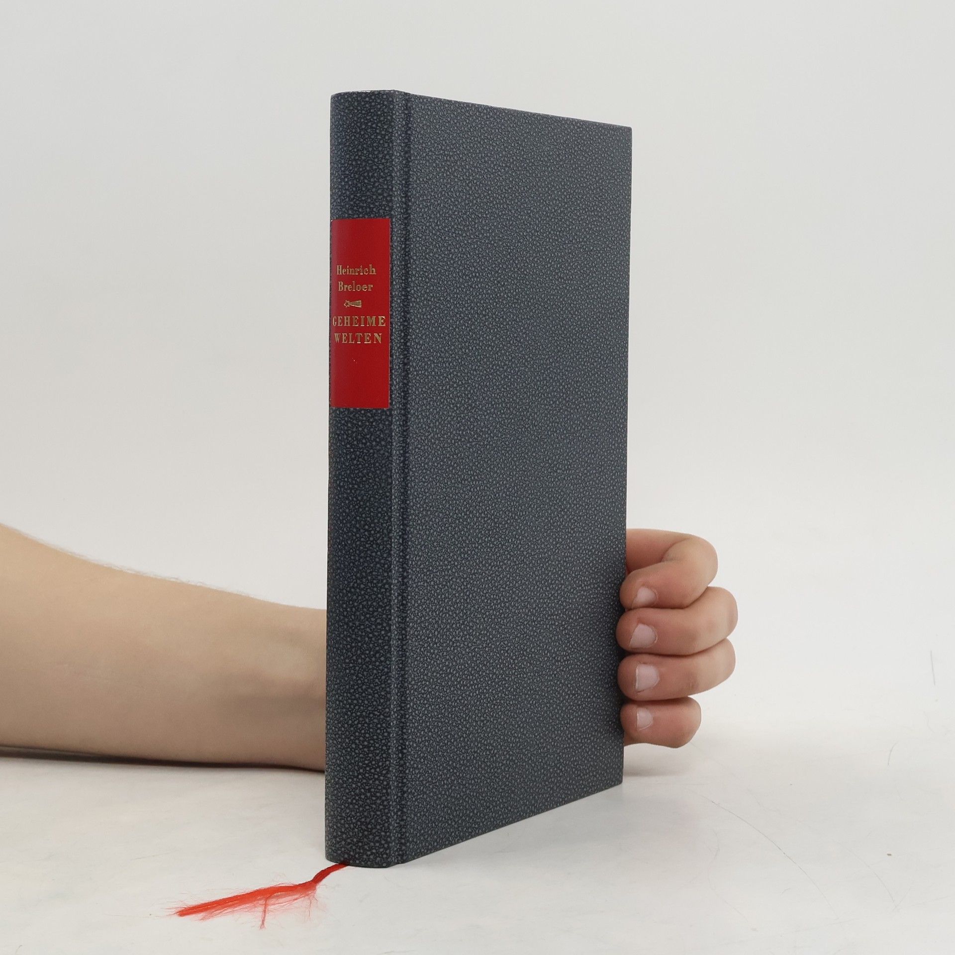 Heinrich Breloer Die Andere Bibliothek - 178: Geheime Welten