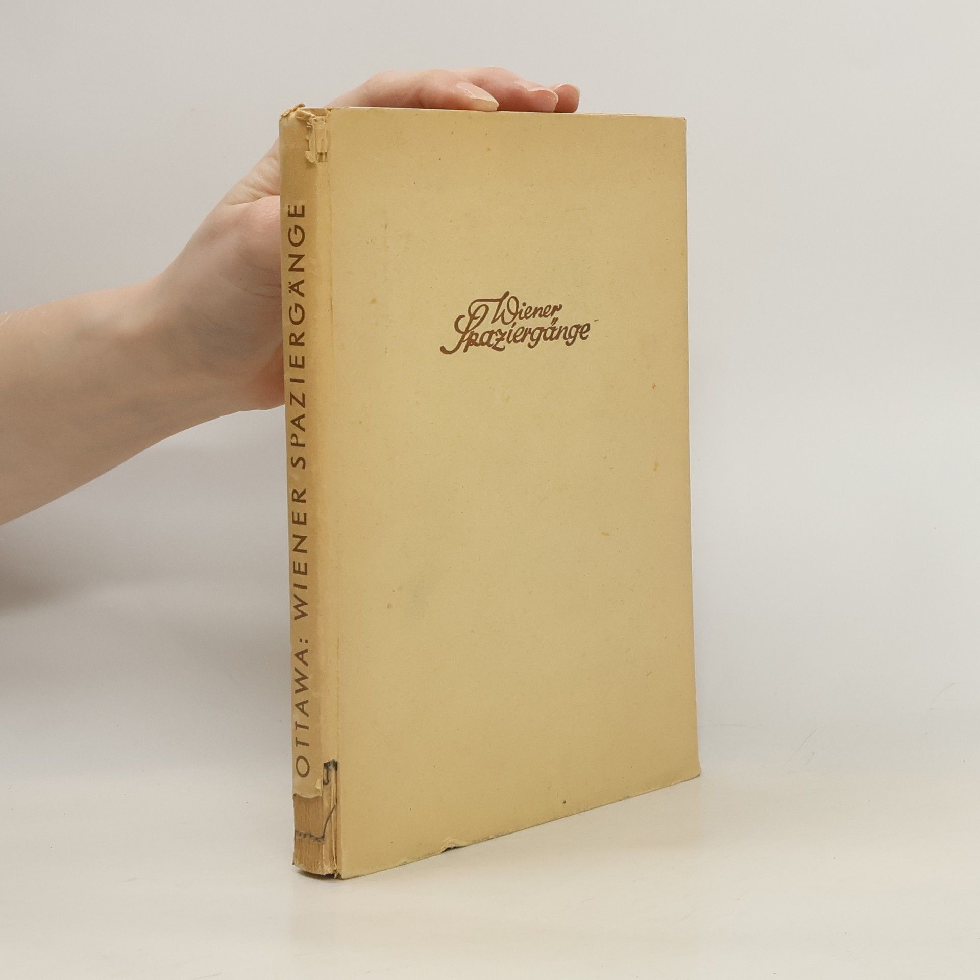 Wiener Spaziergänge