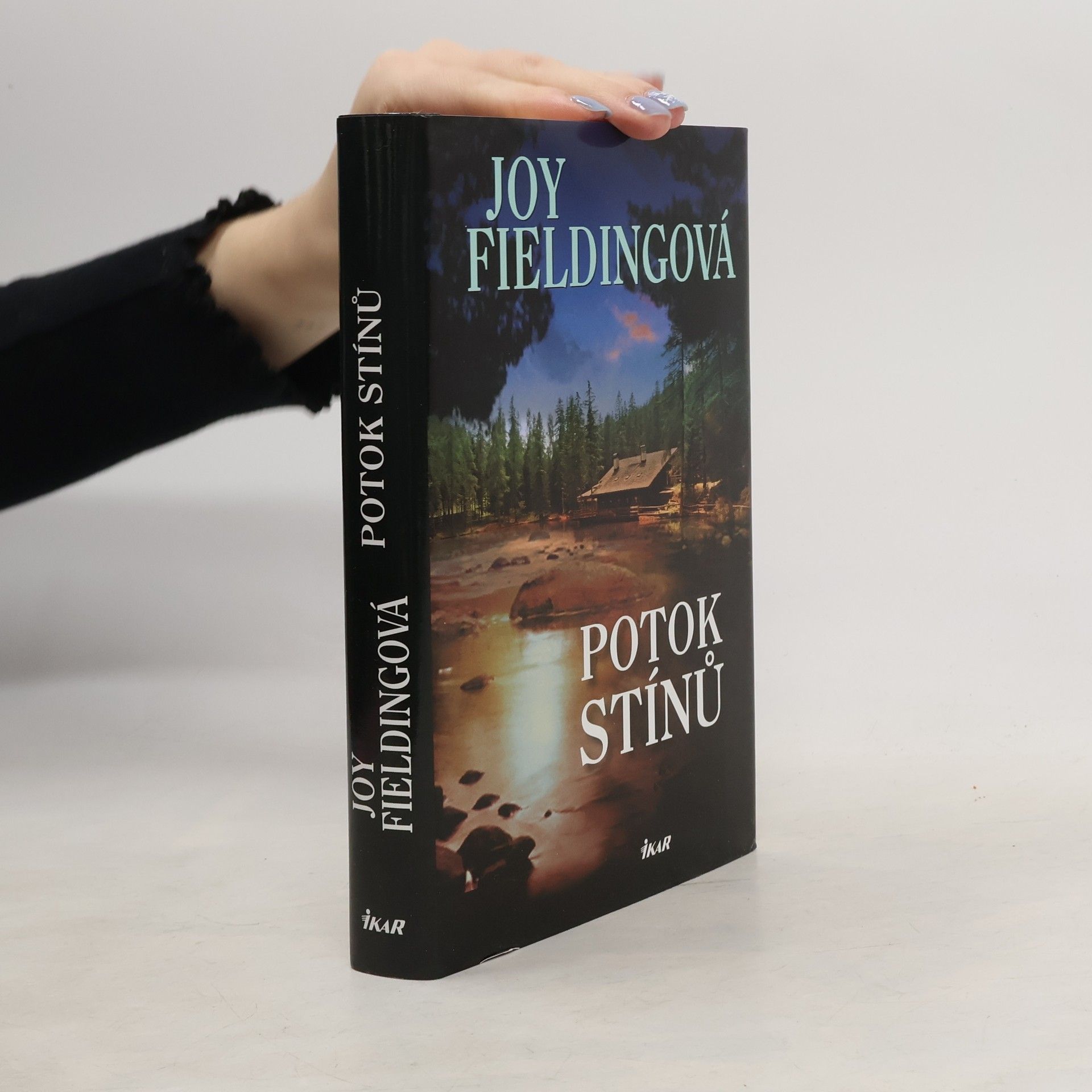 Joy Fielding Potok stínů