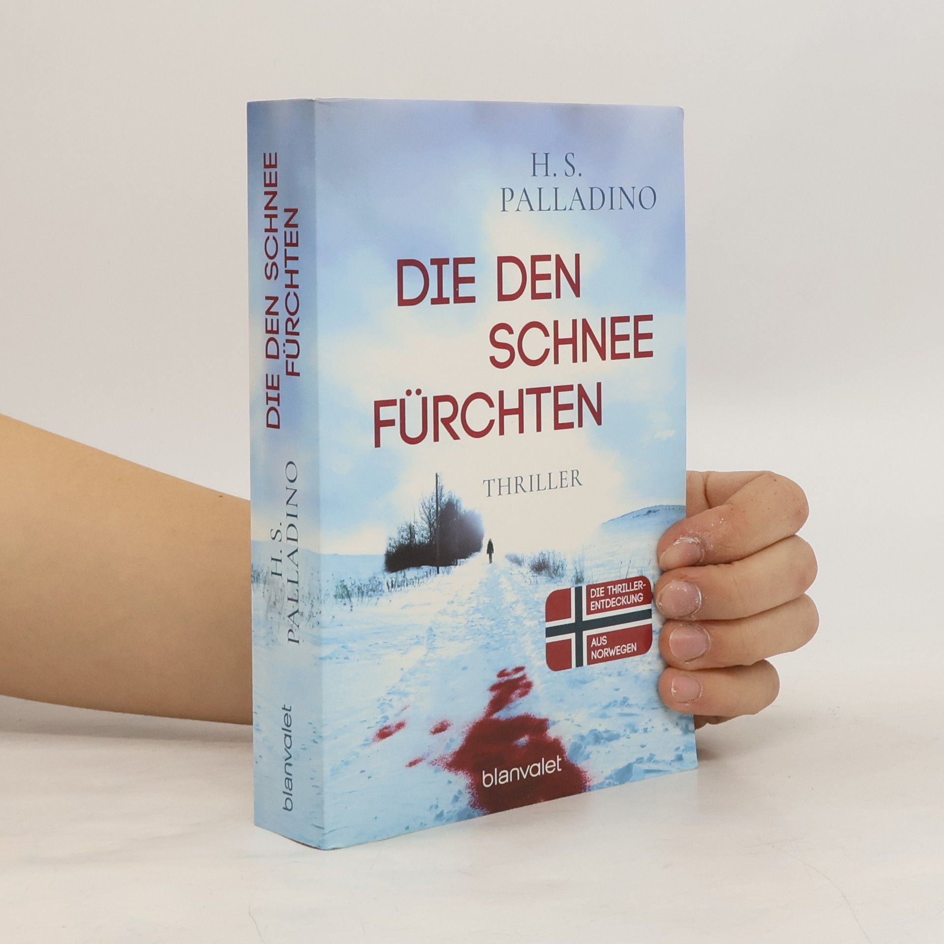 H.S. Palladino Die den Schnee fürchten