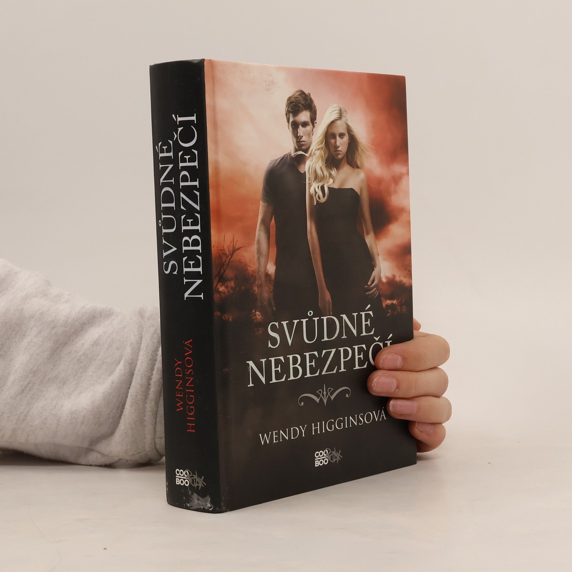 Wendy Higgins Svůdné nebezpečí