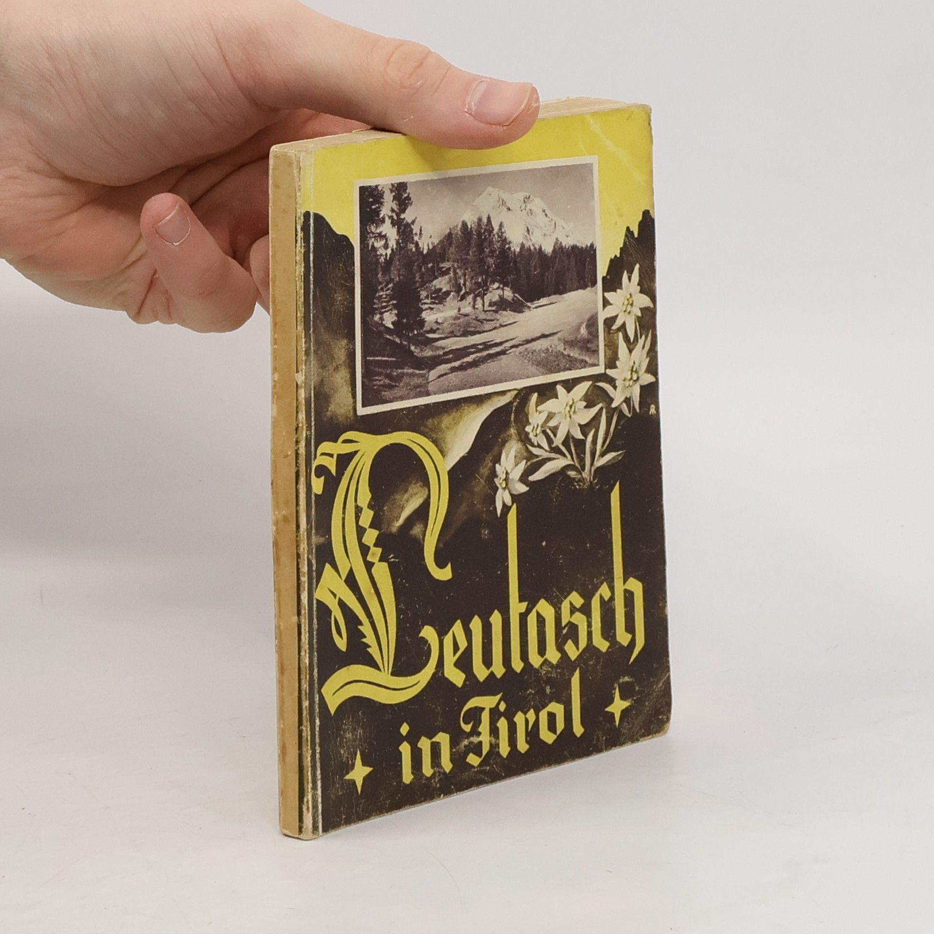 Matth. Reindl Leutasch in Tirol