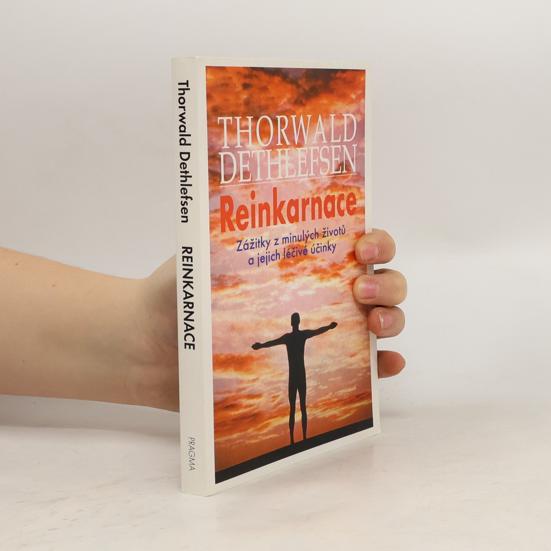 Reinkarnace : zážitky z minulých životů a jejich léčebné účinky